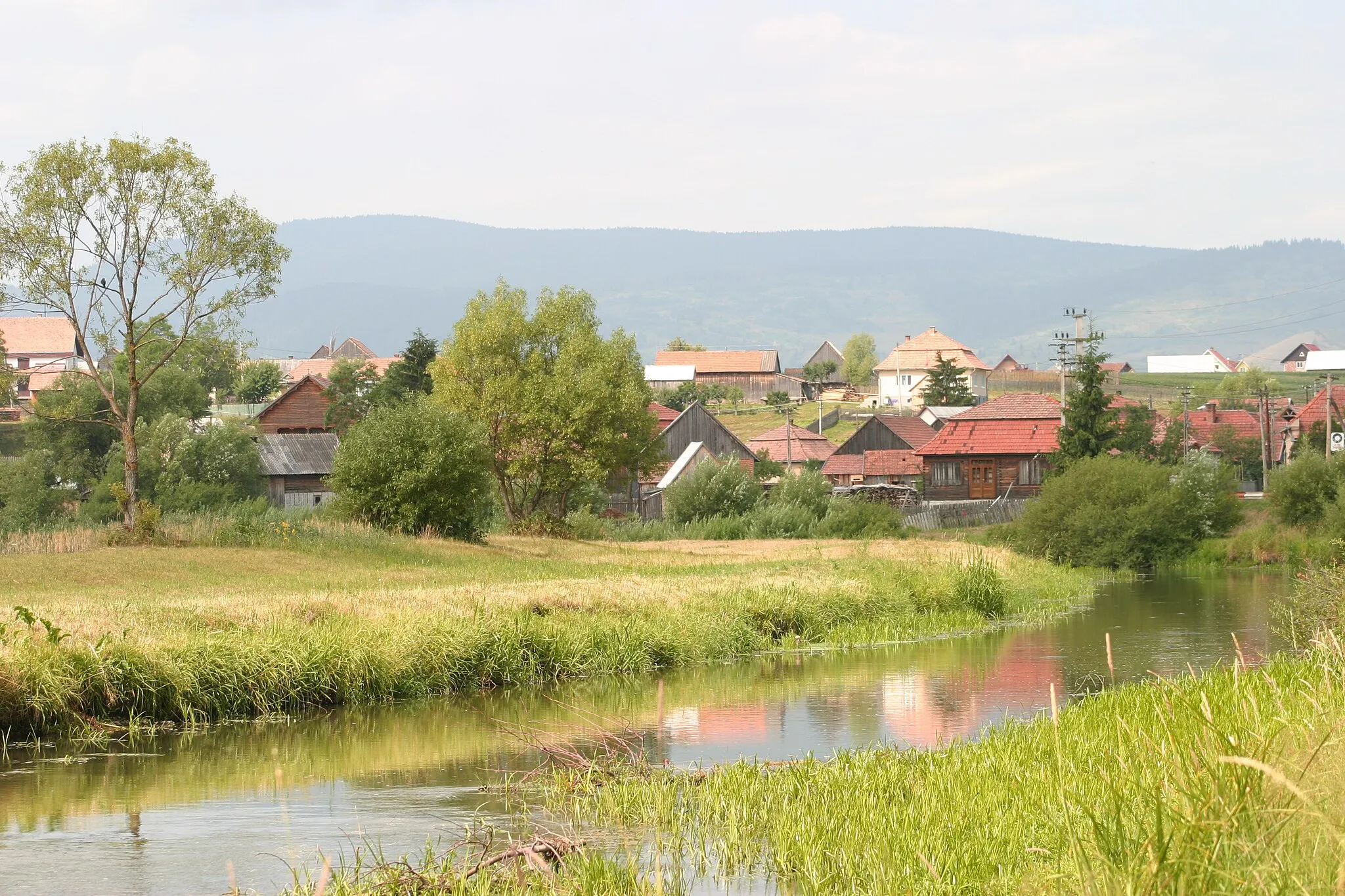 Photo showing: Maros river at Remetea