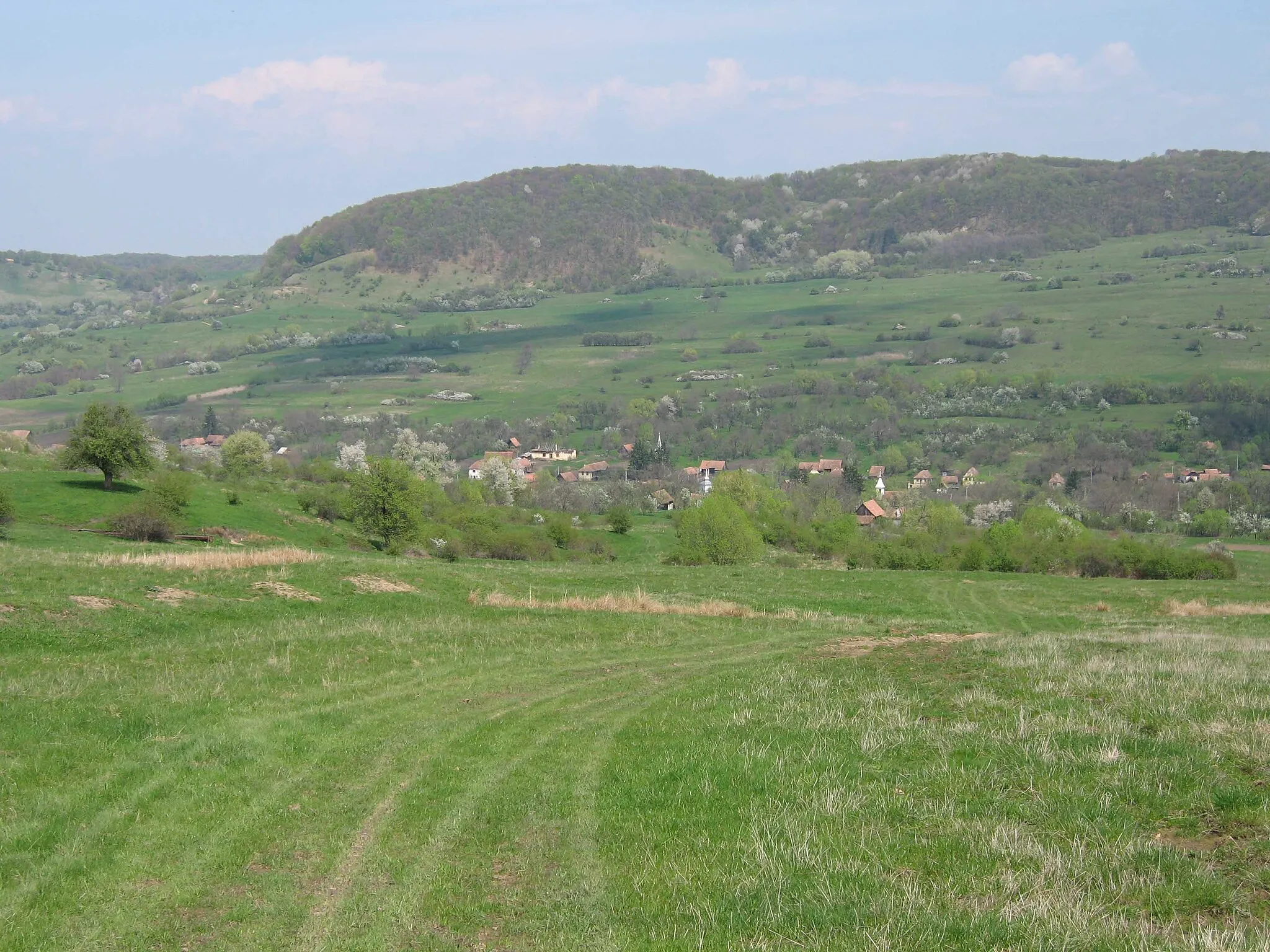 Photo showing: Şapartoc from the country path to Sighişoara