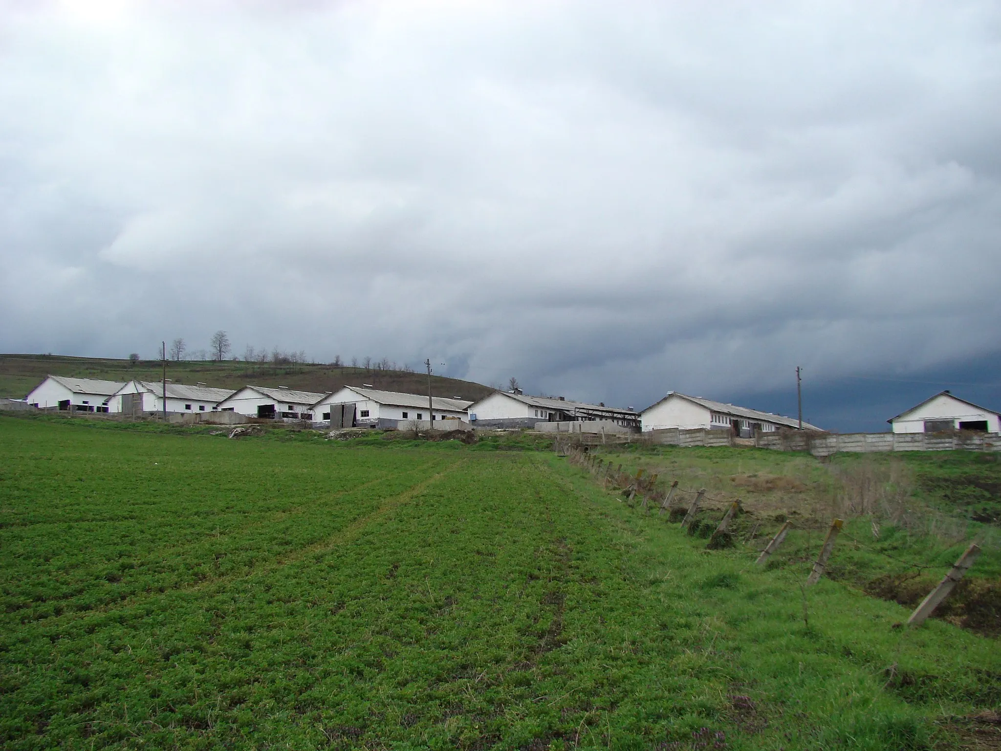 Photo showing: Botorca, Mureș county, Romania