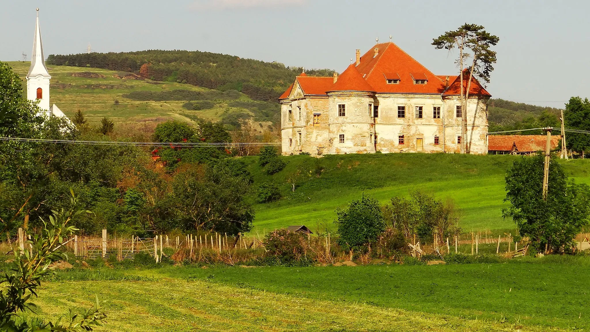 Photo showing: Castelul Pekri