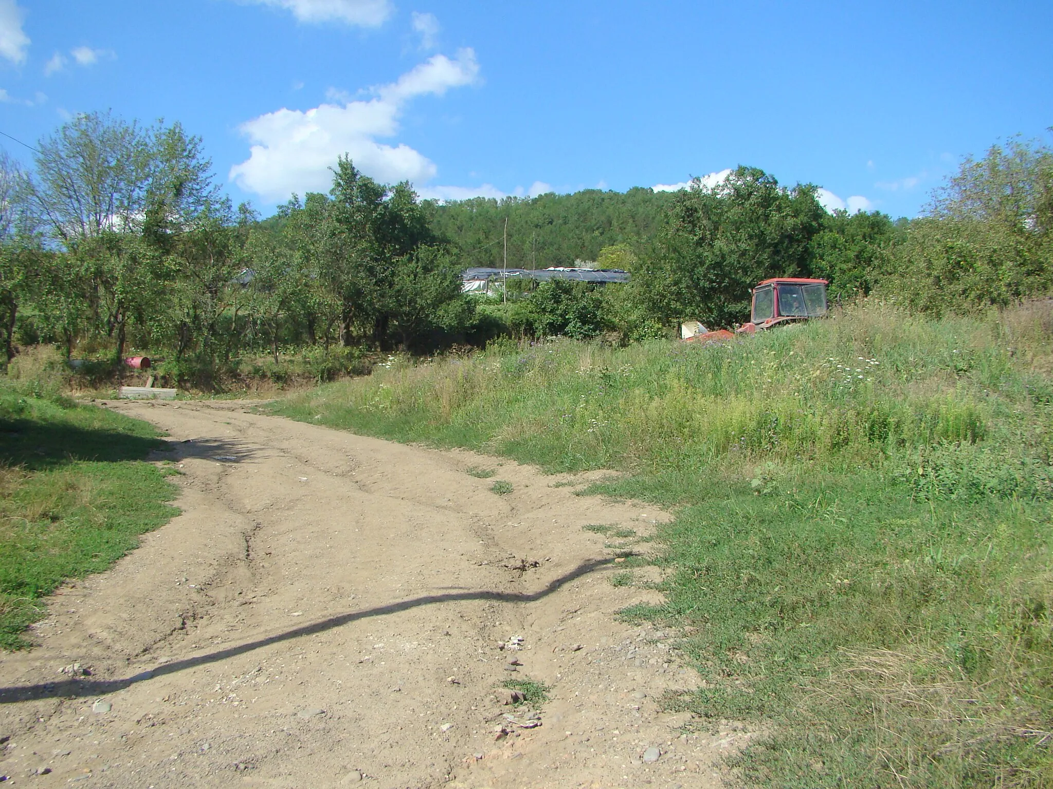 Photo showing: Coroi, Mureș County, Romania