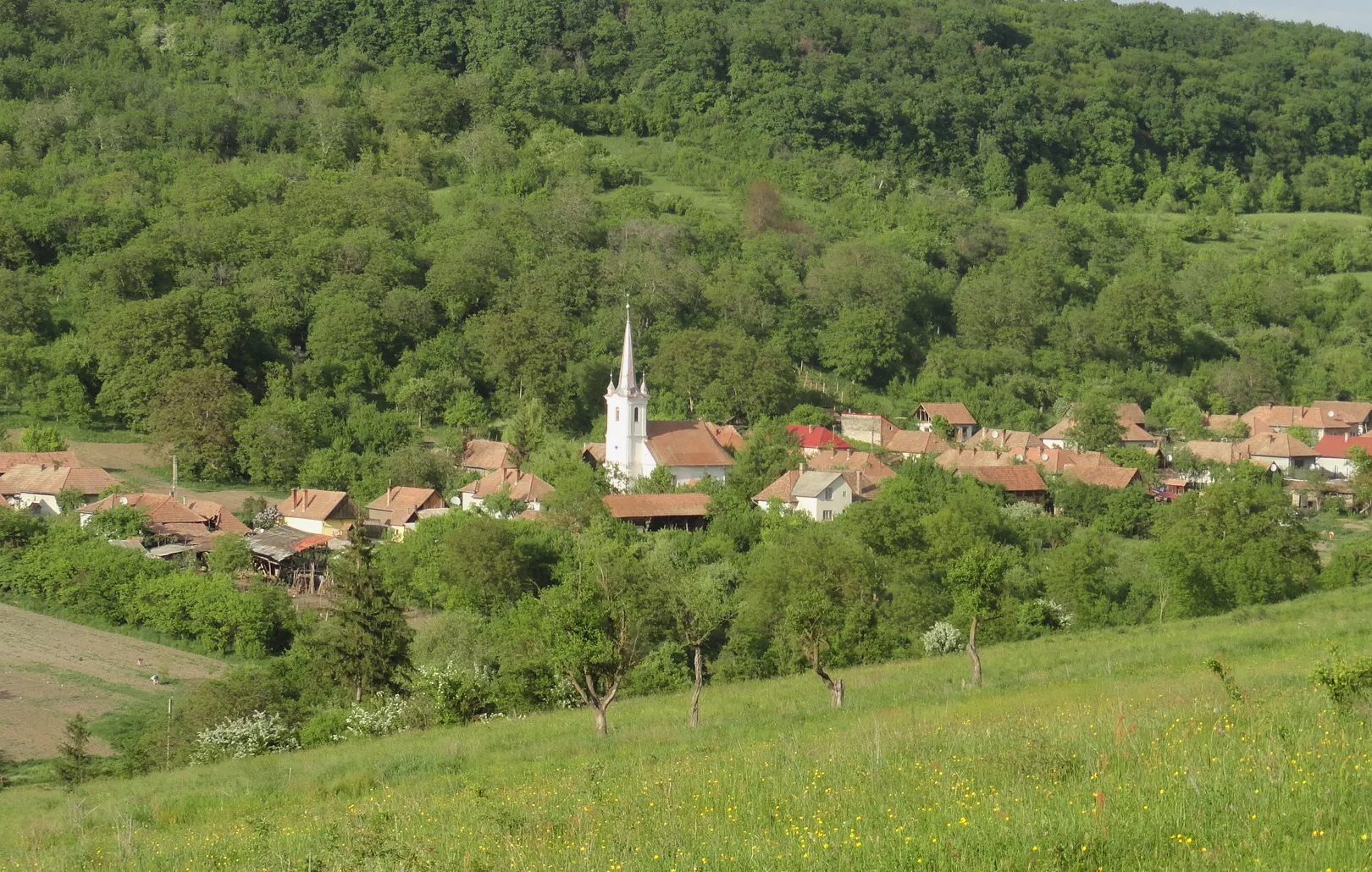 Photo showing: Panoramic view of Budiu Mic, Mureș county, Romania. (In hungarian: Hagymásbodon; in german: Hagendorf)