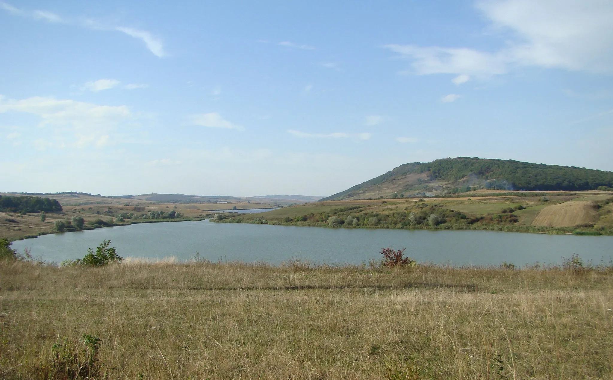 Photo showing: Lakes in Glodeni, Mureş county, Romania