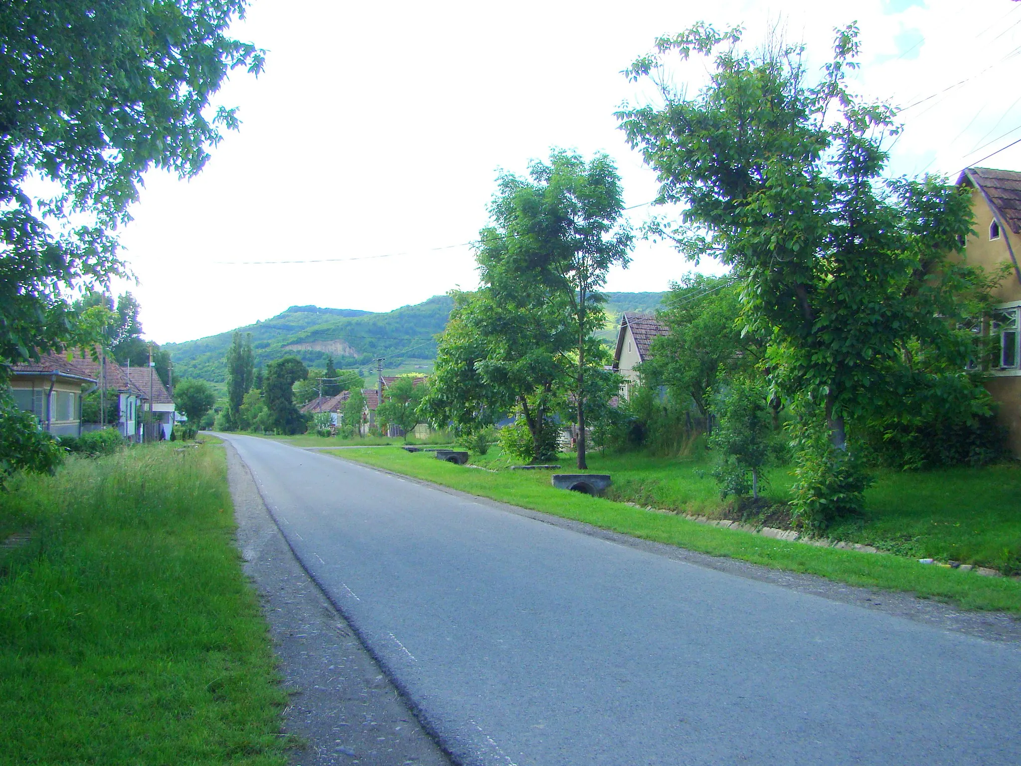 Photo showing: Petrilaca de Mureș, Mureș County, Romania