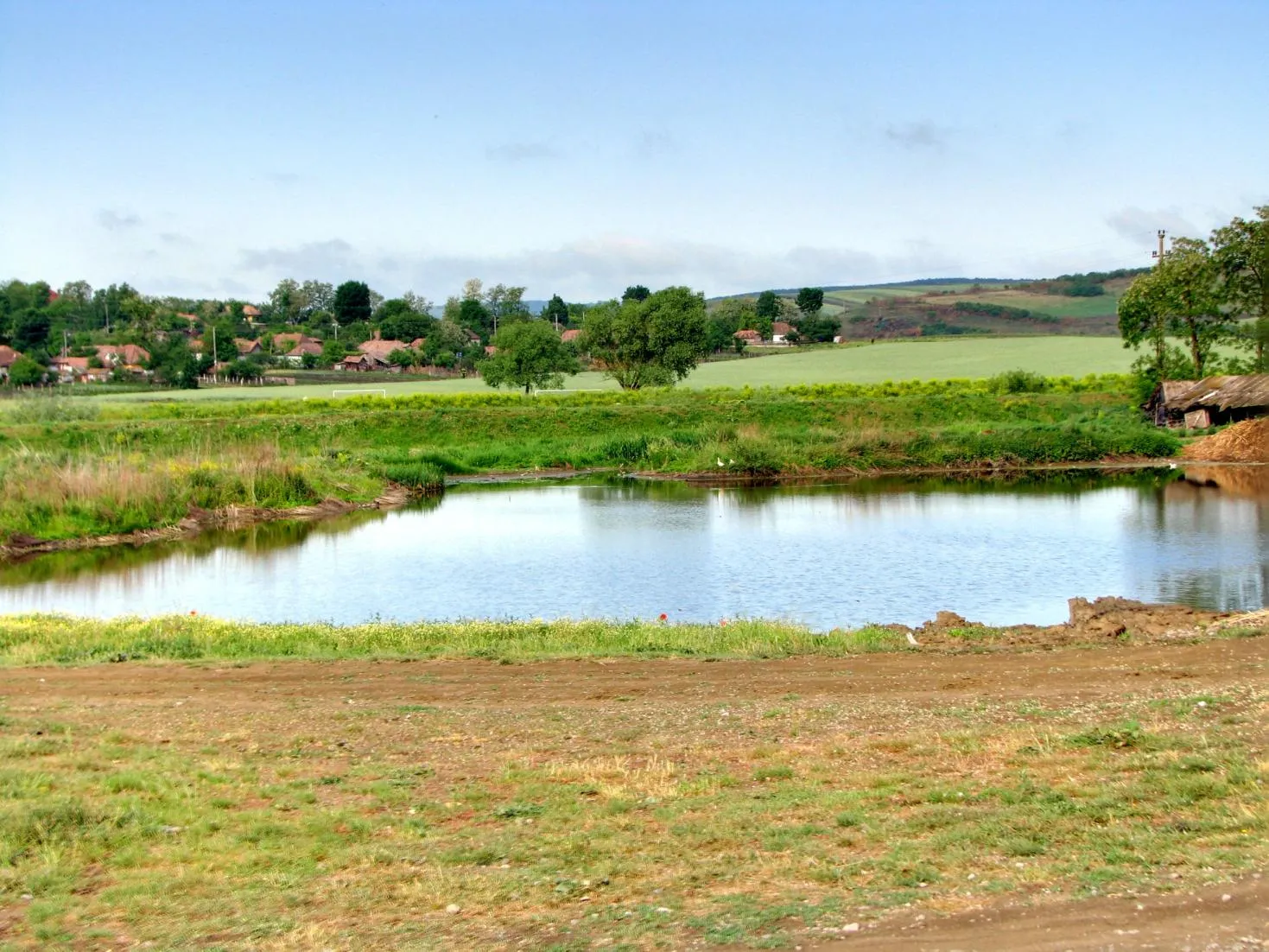 Photo showing: capusu de campie