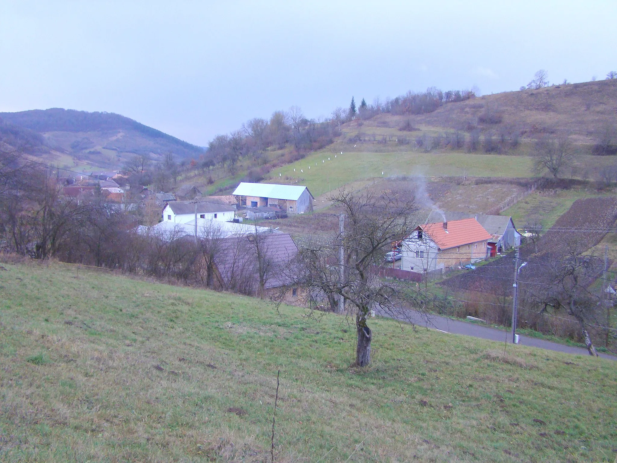 Photo showing: Vădaș, Mureș County, Romania