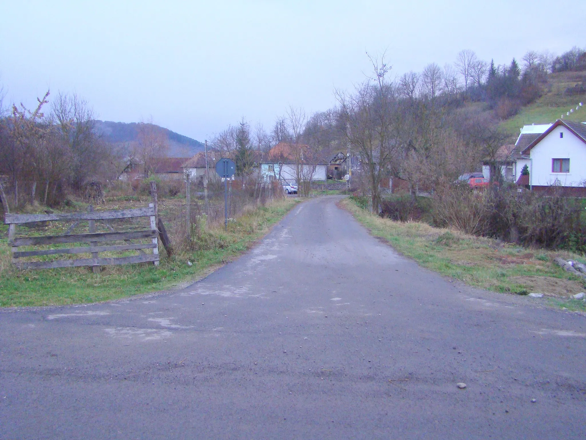 Photo showing: Vădaș, Mureș County, Romania