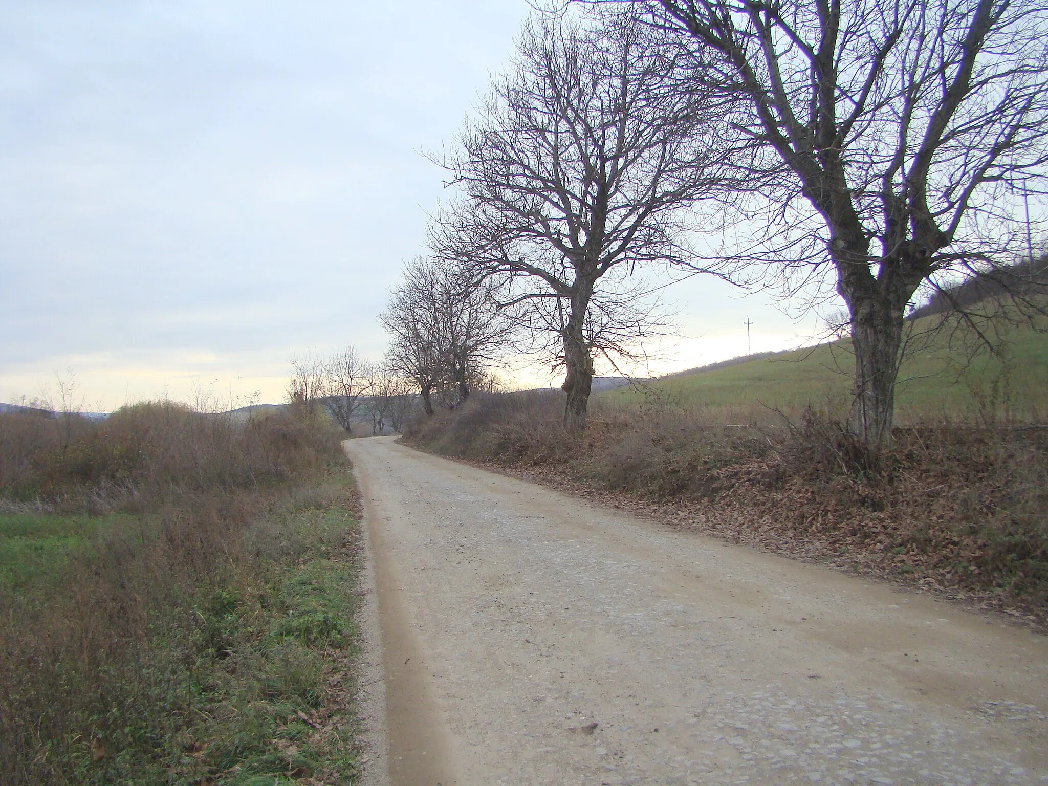 Photo showing: Vaideiu, Mureș county, Romania