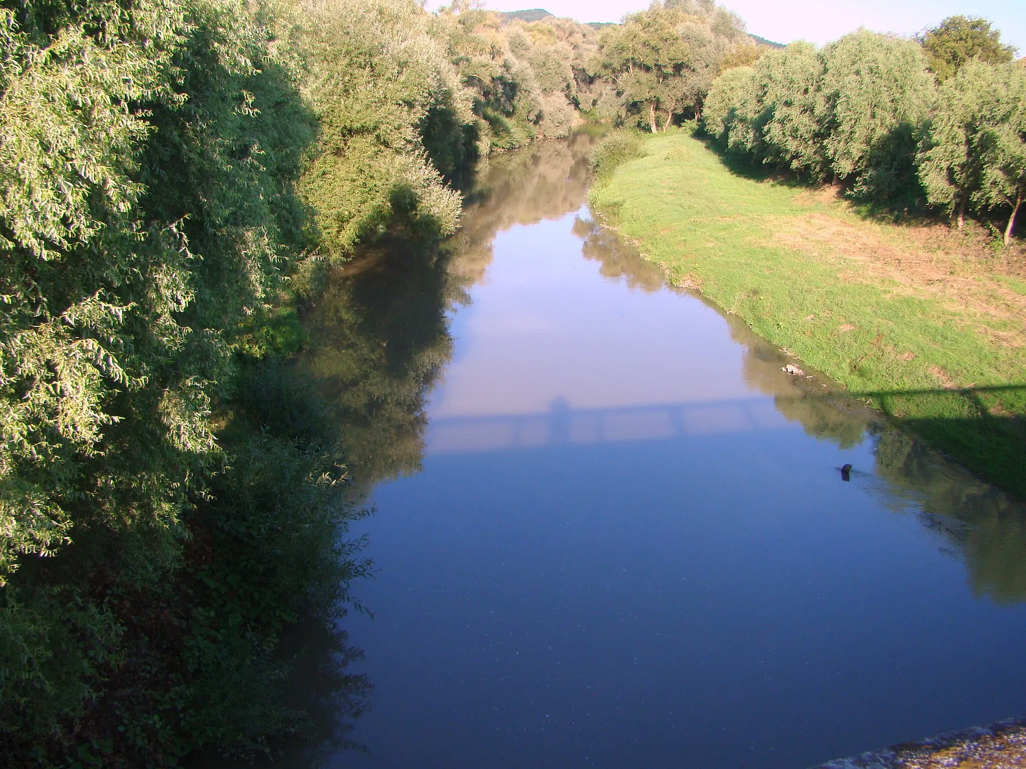 Photo showing: Râul Târnava Mică la Sângeorgiu de Pădure, judeţul Mureș