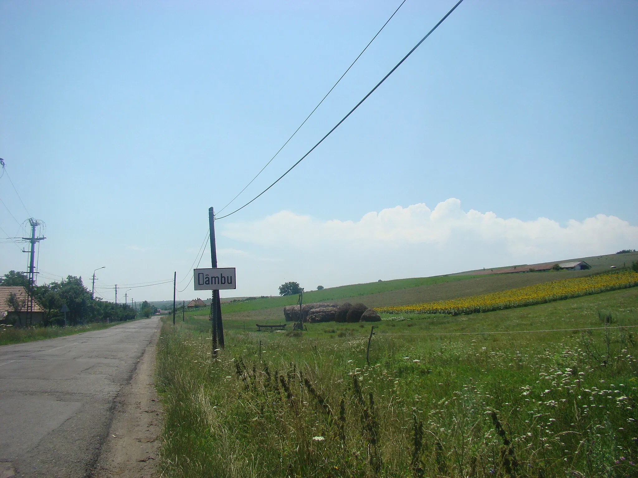 Photo showing: Dâmbu, județul Mureș