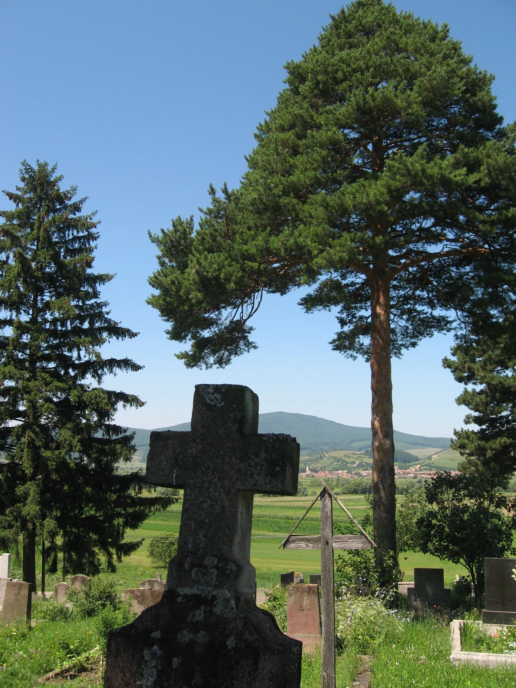 Photo showing: Graveyard, Miklosvar, Transylvania