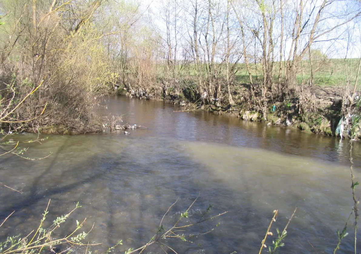 Photo showing: Kormosba ömlik a Vargyas pataka, Olasztelek