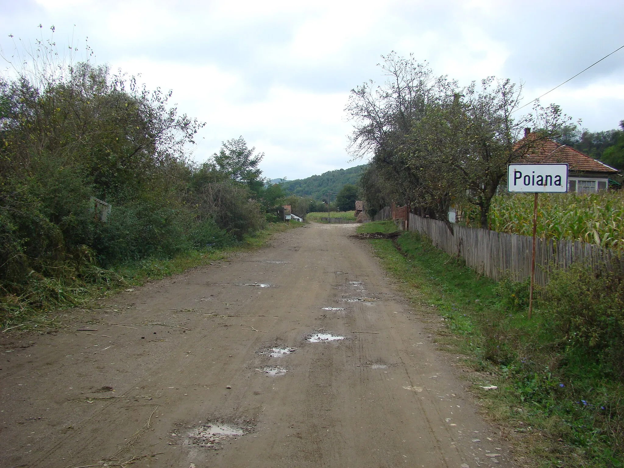 Photo showing: Poiana, județul Hunedoara