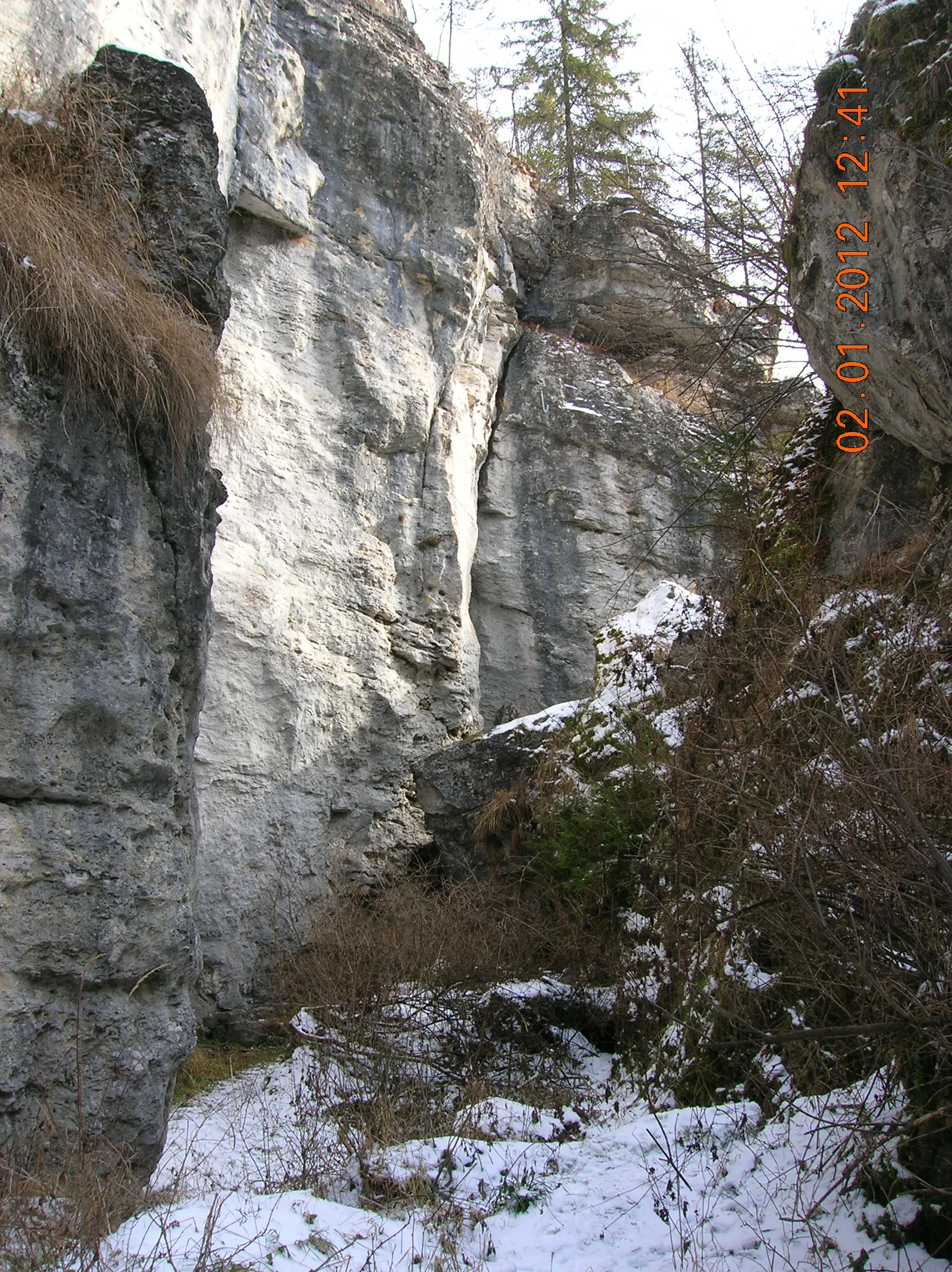 Photo showing: Jud. Harghita, Oraş Borsec, Rezervaţia Scaunul Rotund, Grota Urşilor