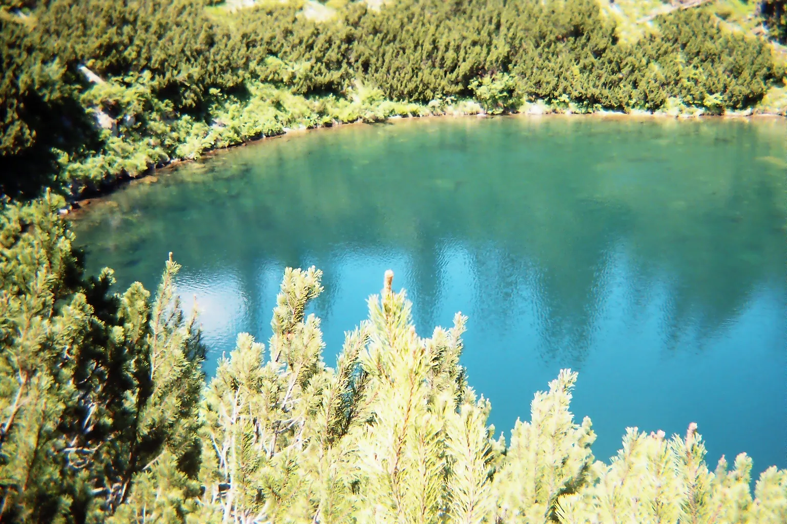 Photo showing: Lacul Sureanu (1732m asl) in Șureanu Mountains, part of Parâng Mountains