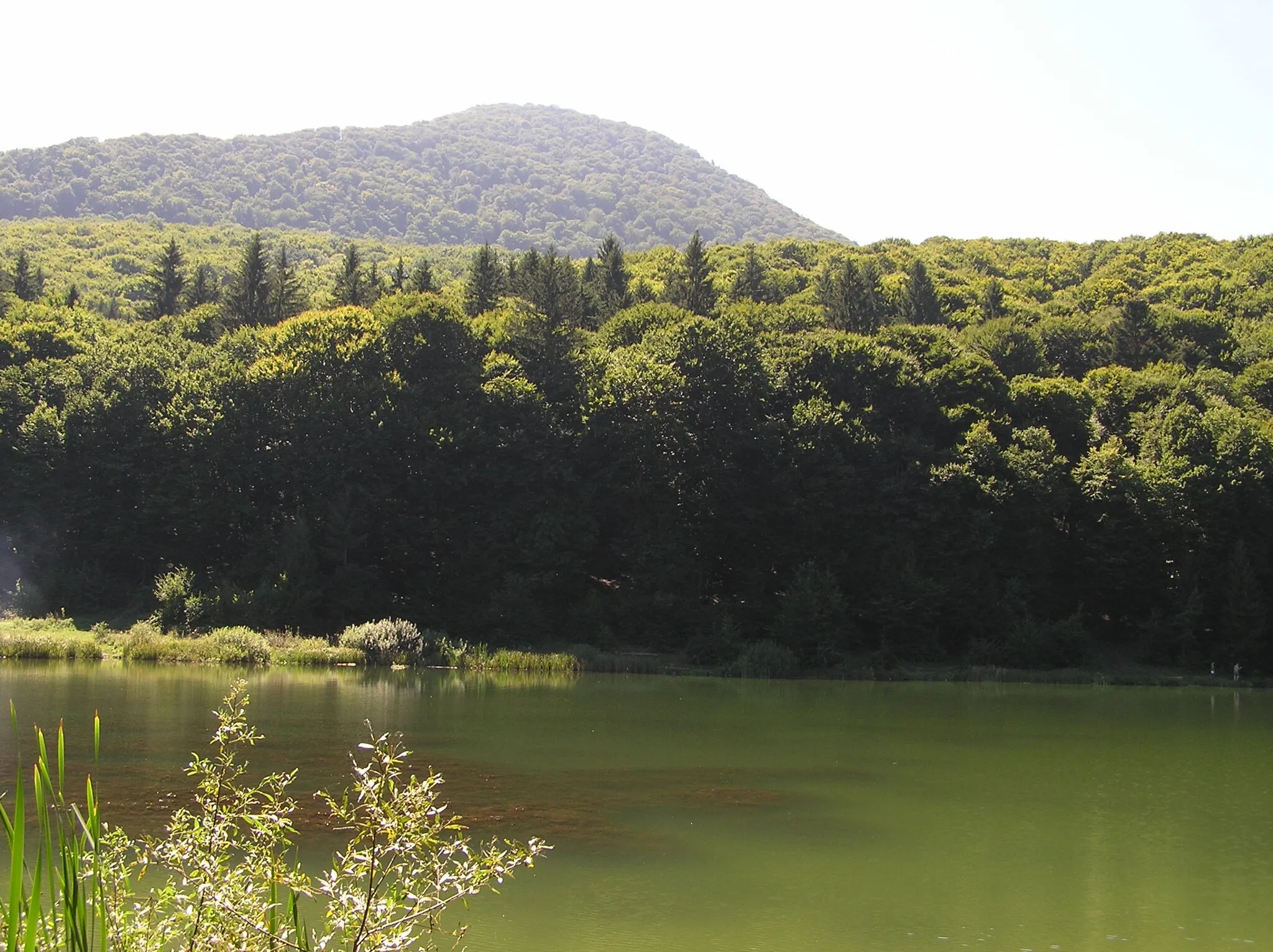 Photo showing: Der Zeidner Berg (Măgura Codlei), gesehen vom 2. See des Zeidner Waldbads, in Siebenbürgen, Rumänien.