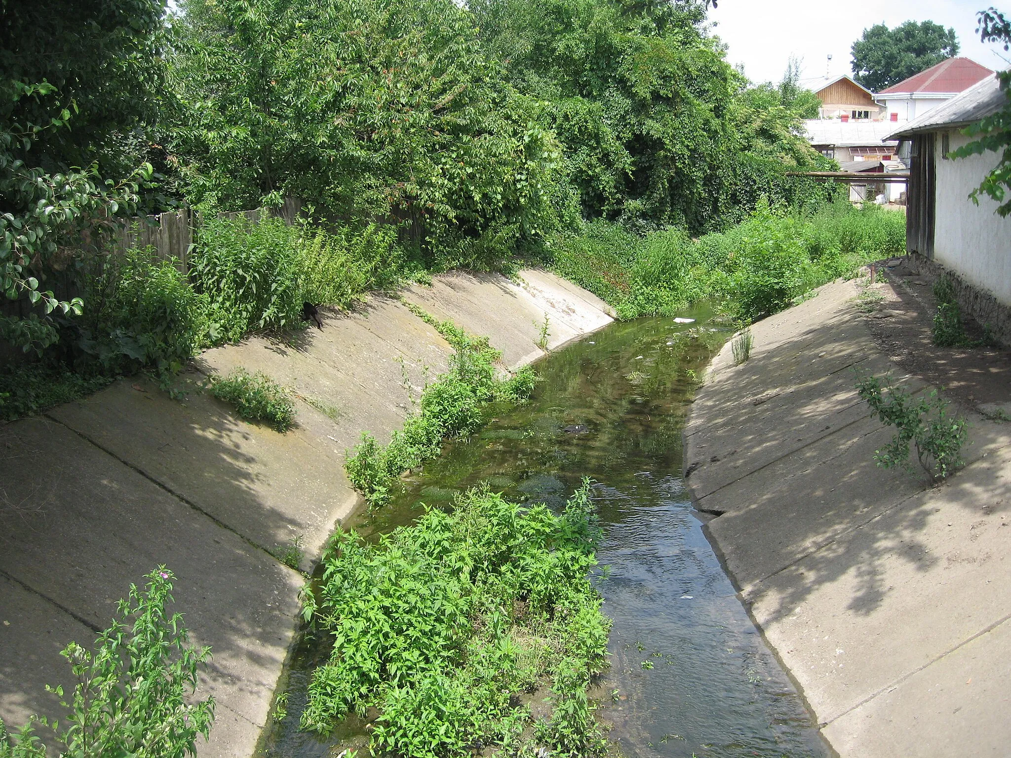 Photo showing: Dragomirna River in Ițcani neighborhood, Suceava.