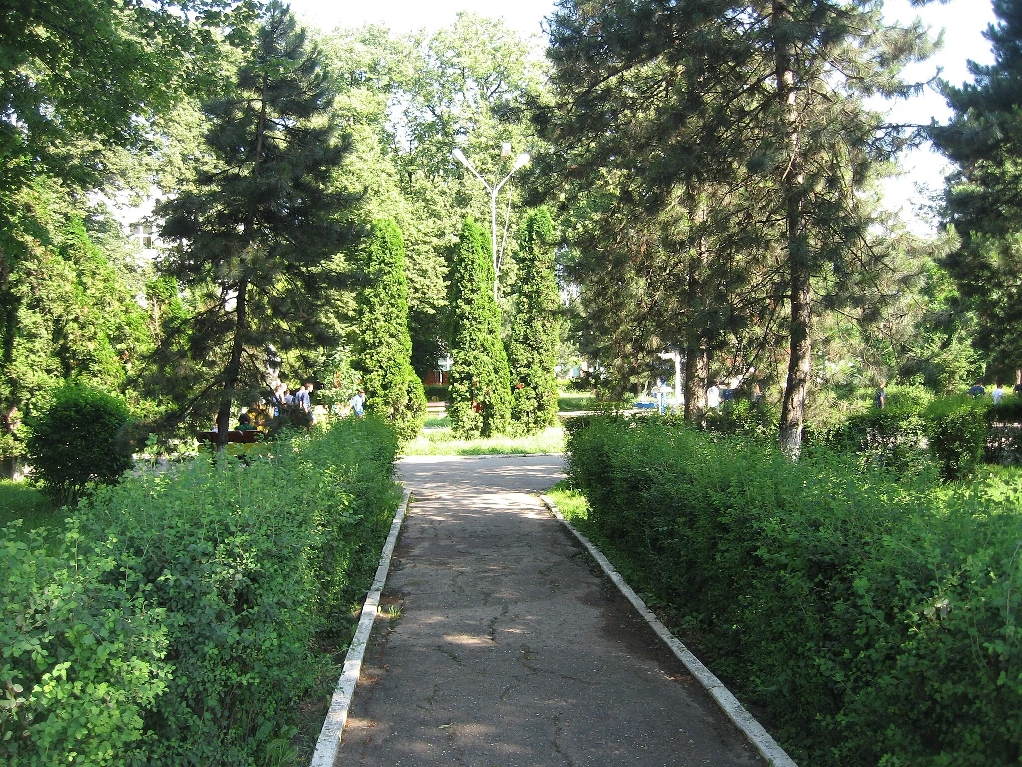 Photo showing: University Park in Suceava.