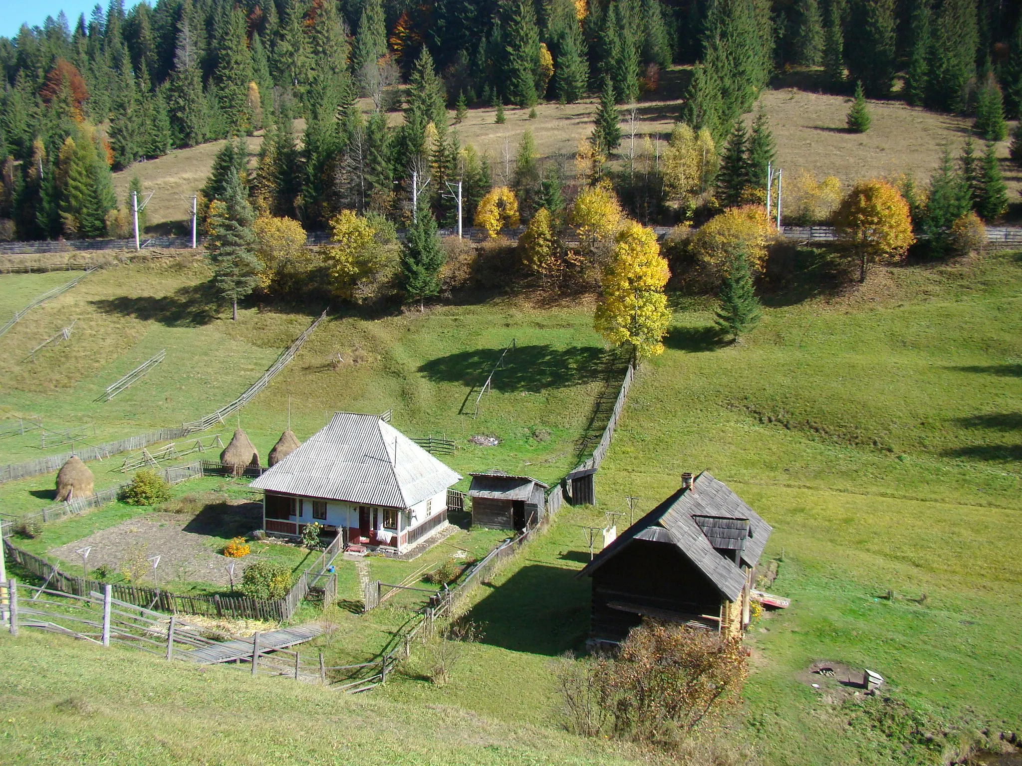 Photo showing: Valea Putnei, Suceava county, Romania