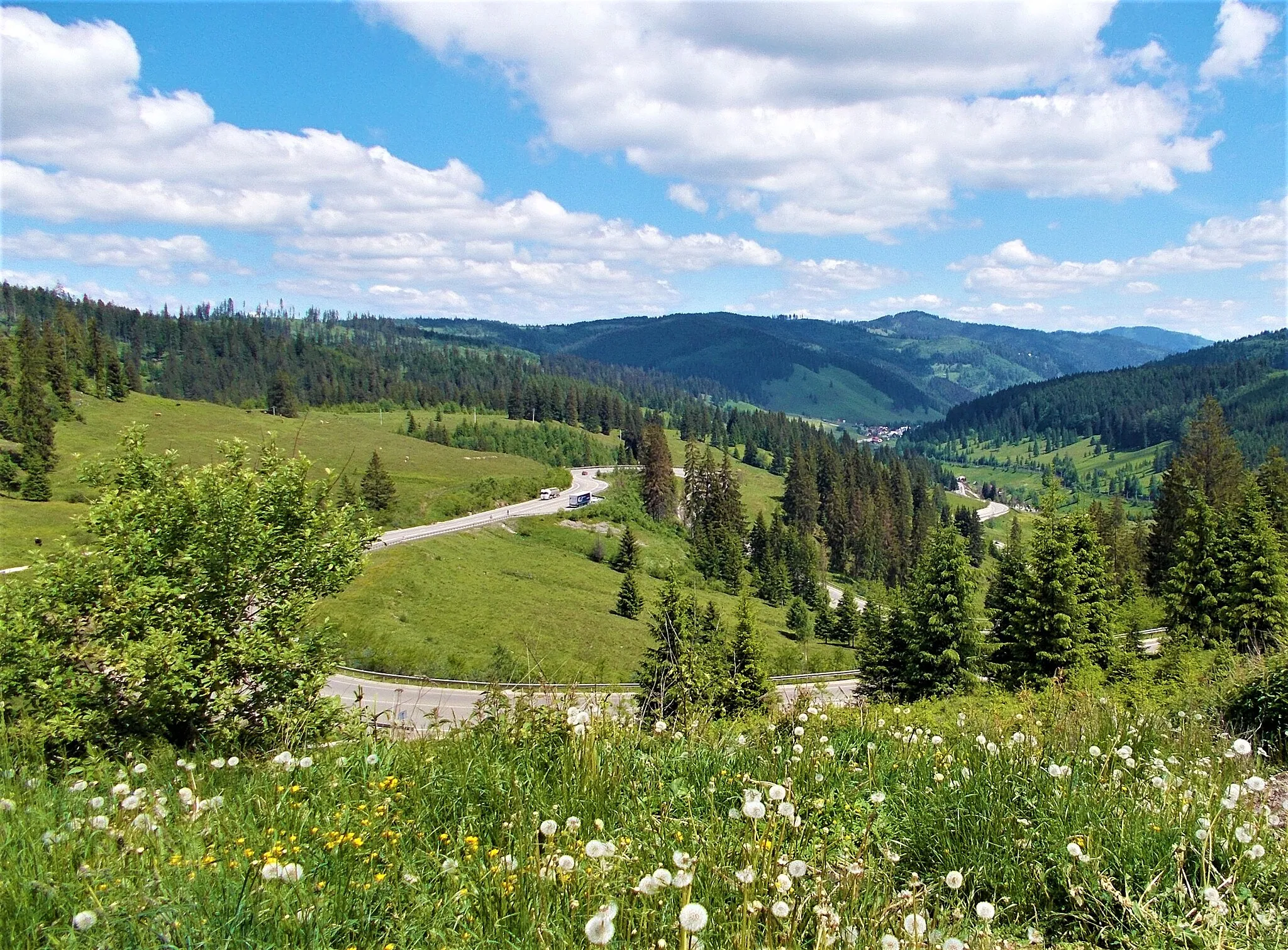 Photo showing: Mestecăniș Pass, Suceava County, Romania