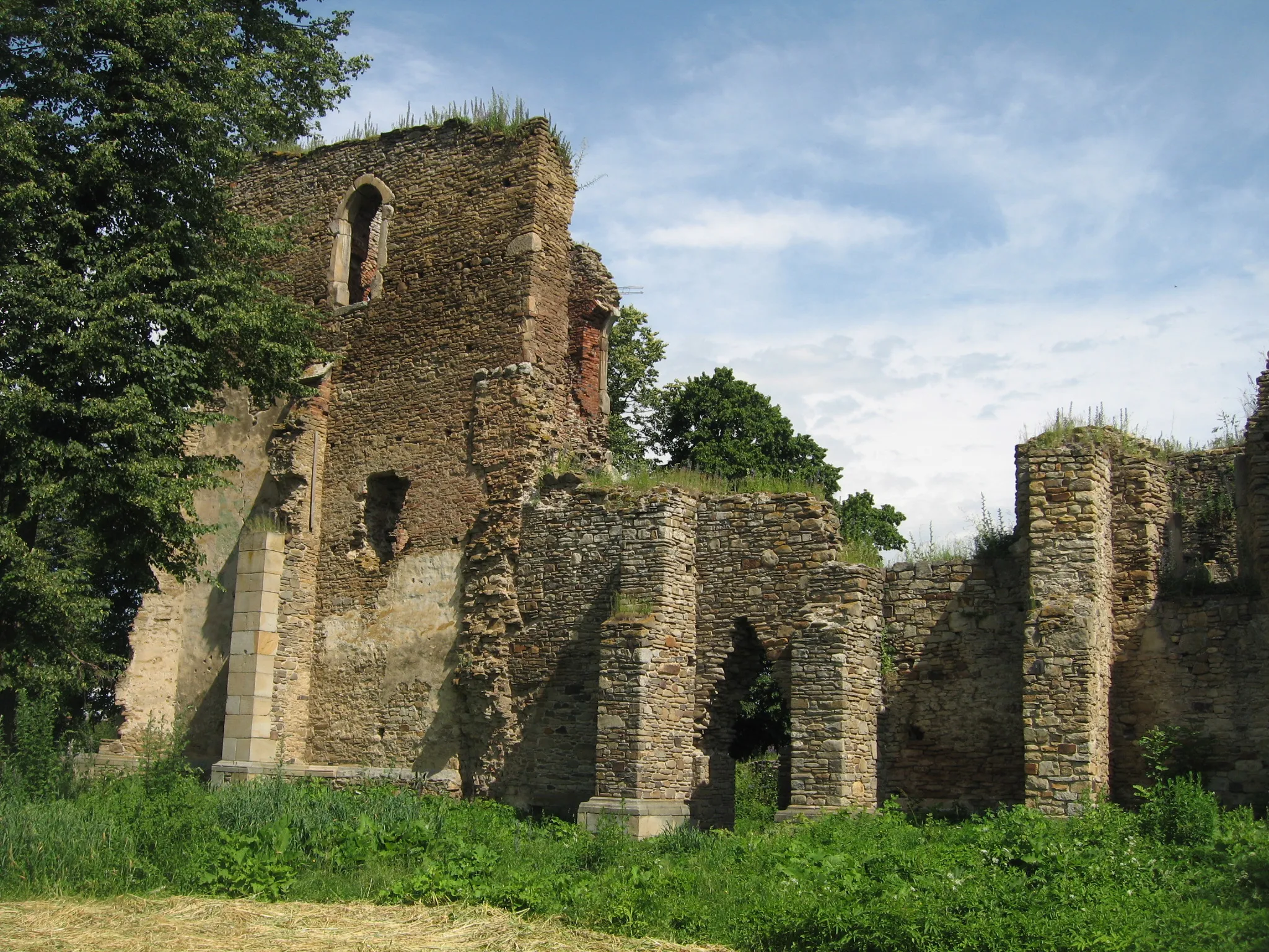 Photo showing: Catedrala Catolică din Baia