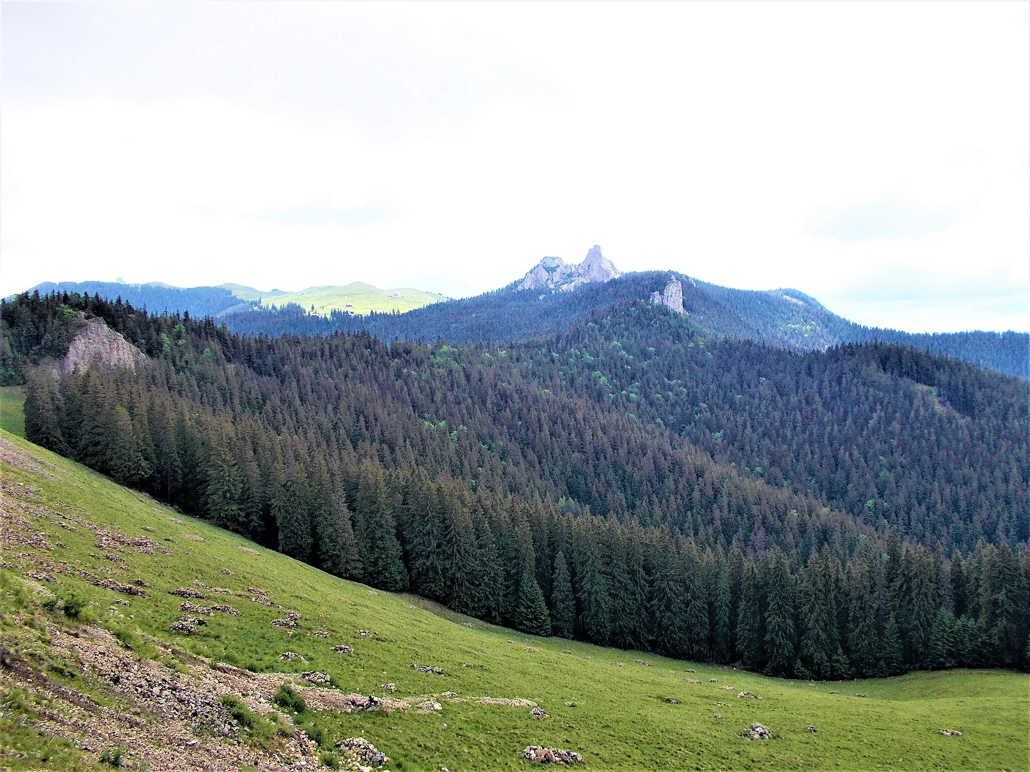 Photo showing: Aria naturală Pietrele Doamnei (253 ha), județul Suceava