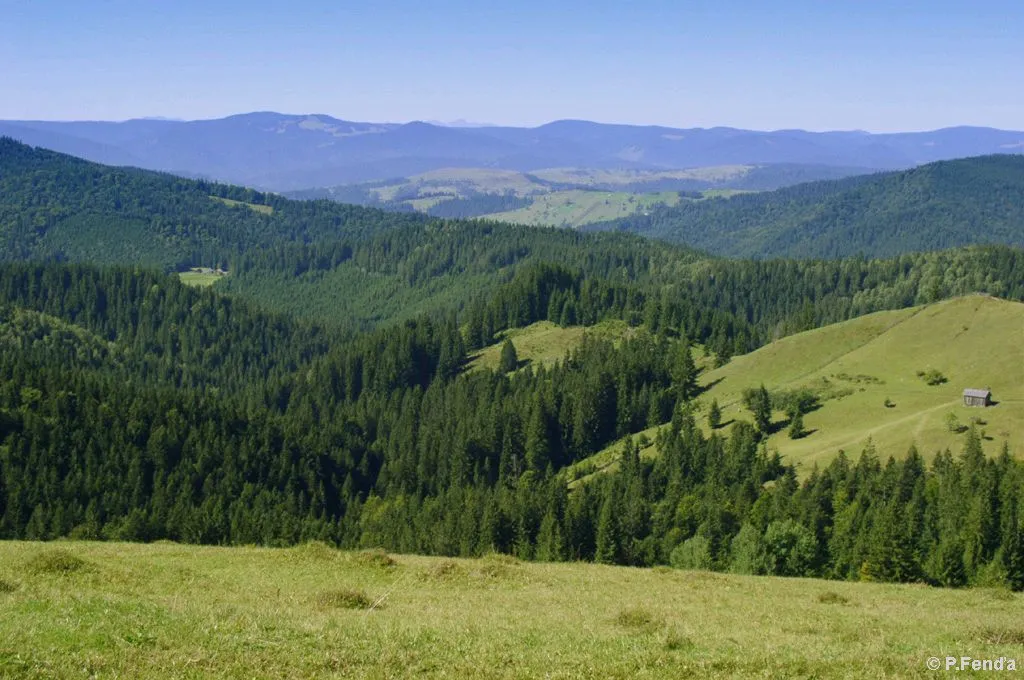 Photo showing: Obcina Mare, Romania Romania, Obcinele Bucovinei Mts.