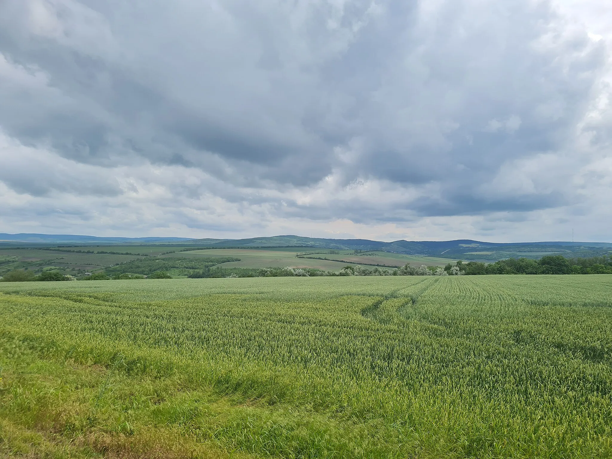 Photo showing: Peisaj din preajma Ungheniului, Republica Moldova.