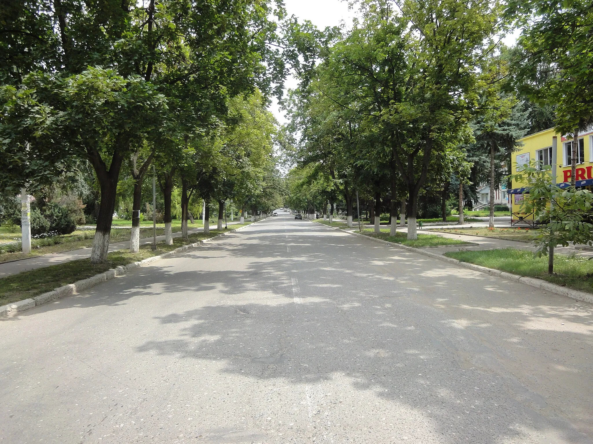 Photo showing: Leova, Moldova, Independence street.