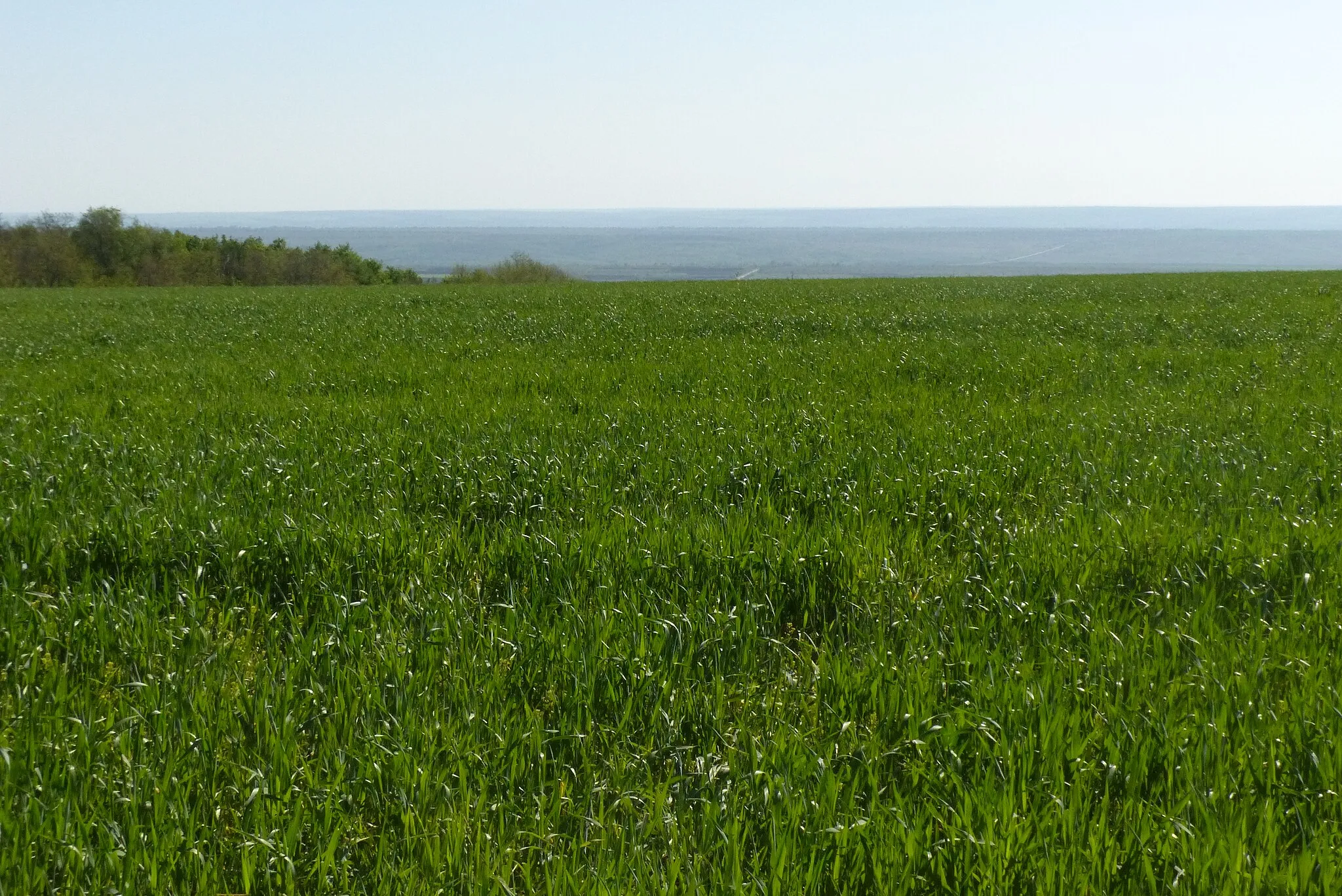 Photo showing: This is a photo of a natural heritage site in Moldova, id: