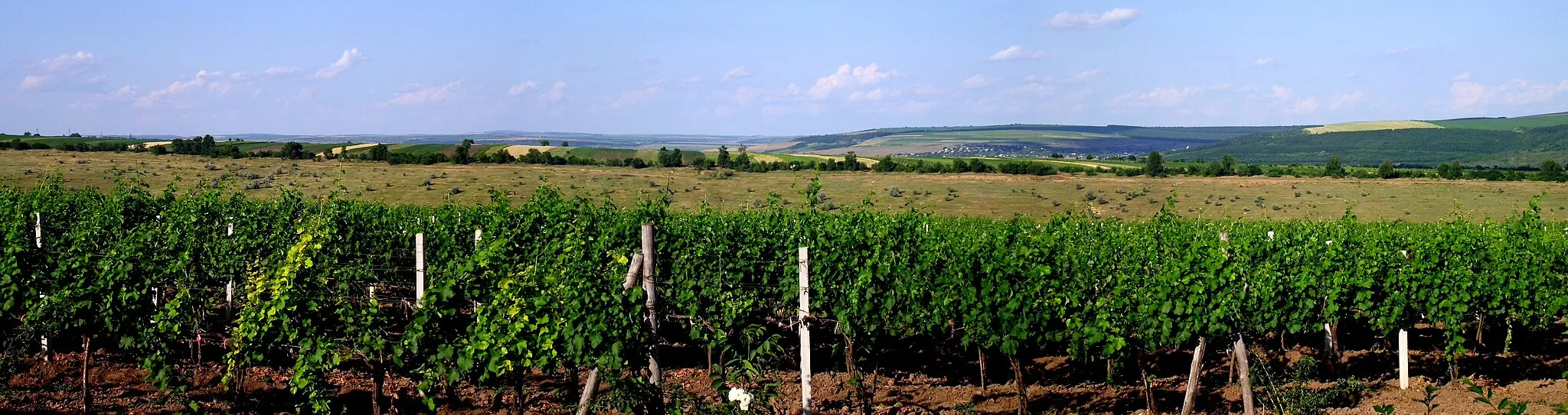 Photo showing: пейзаж к северо-западу от Сэрата Ноуэ