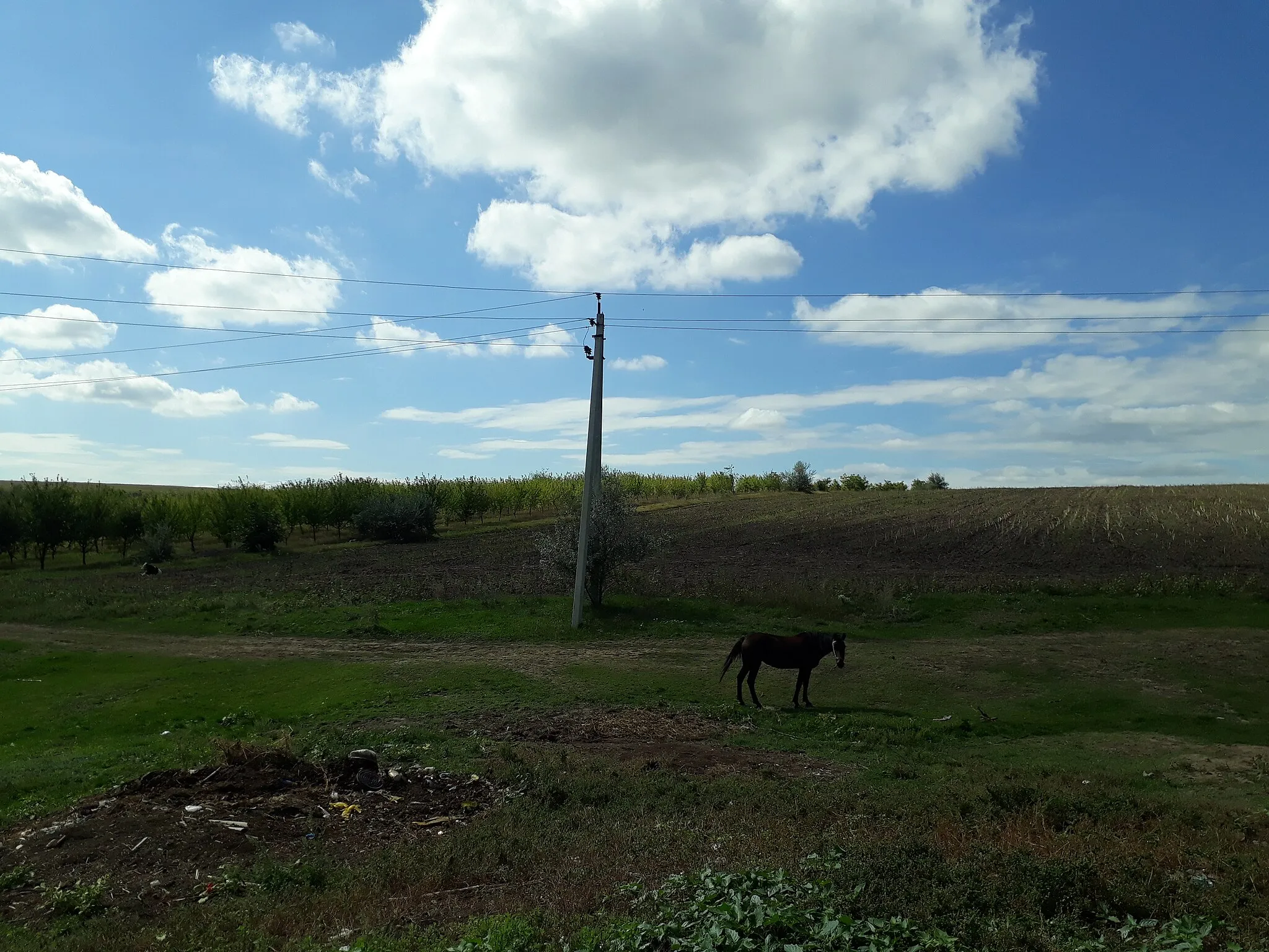 Photo showing: This file illustrates a cultural heritage monument in Moldova, ID