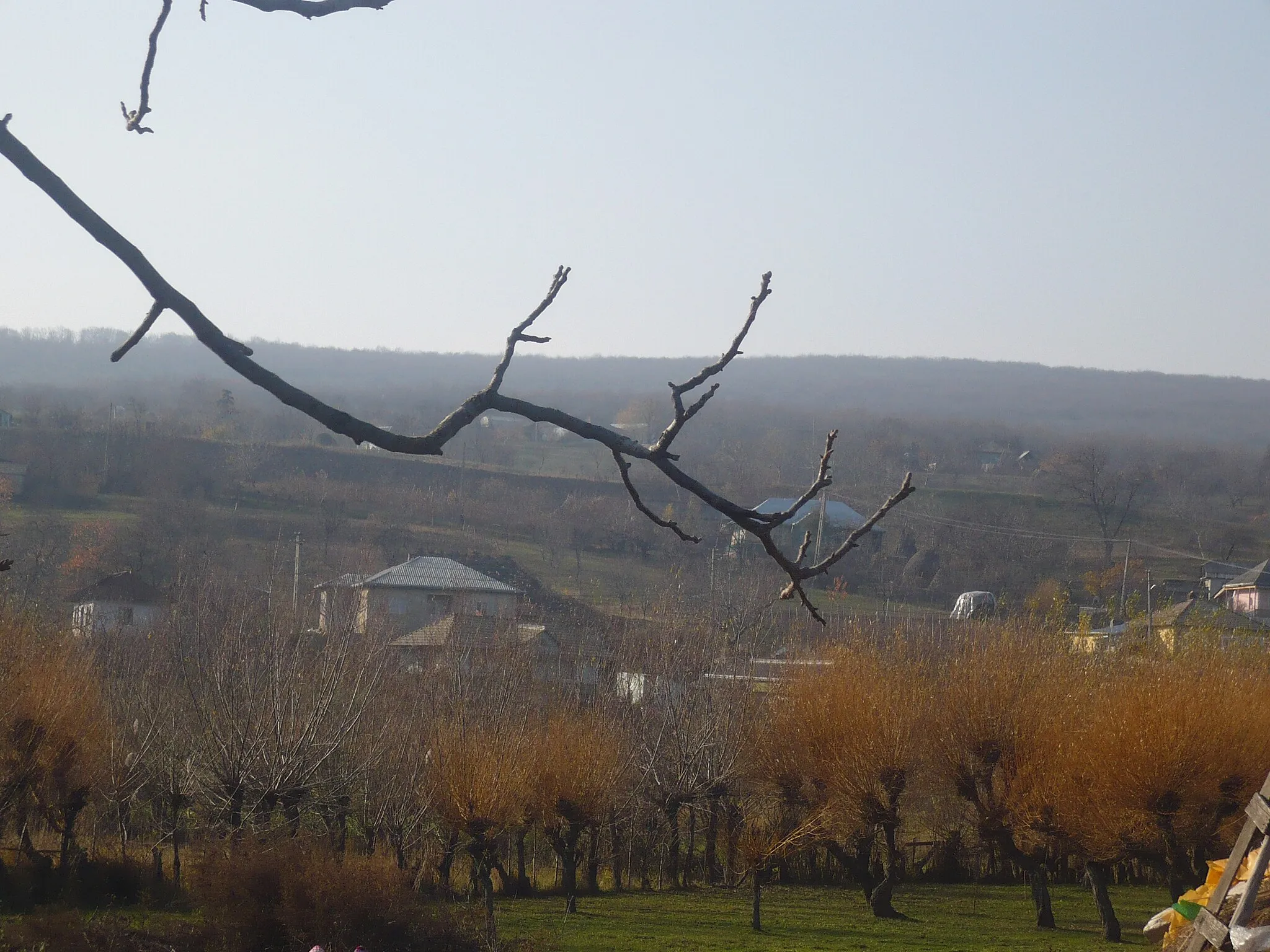 Photo showing: Vedere din apropierea bisericii din Scobinţi spre Dealul Basaraba