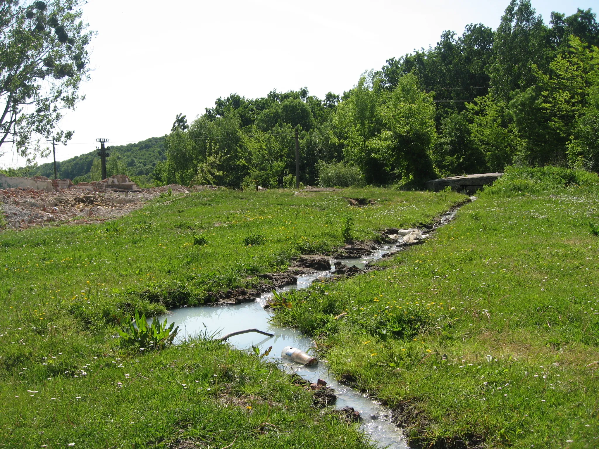 Photo showing: Strunga, județul Iași, România