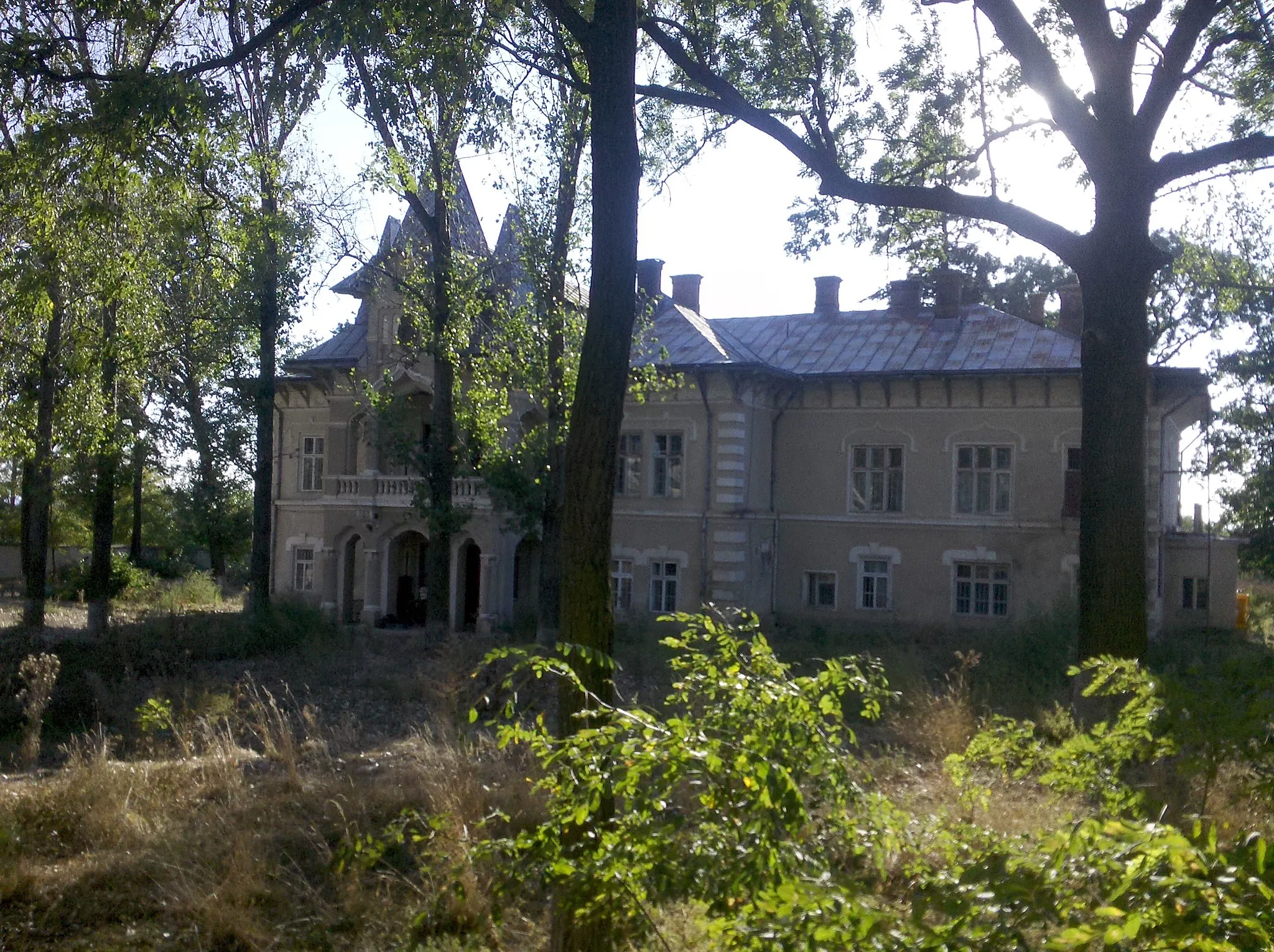 Photo showing: el ex hospital de Siquiatria de Gâdinţi cerca de Roman, Rumania