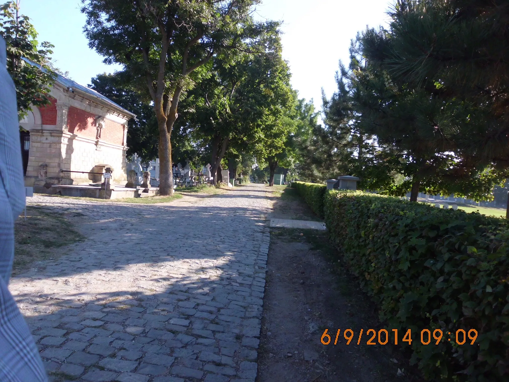 Photo showing: prin Cimitirul "Eternitatea" Iasi, septembrie 2014