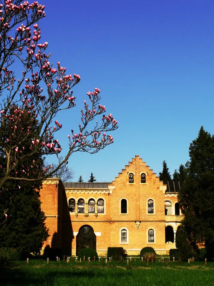 Photo showing: This is a photo of a historic monument in județul Bacău, classified with number BC-II-a-A-00851.