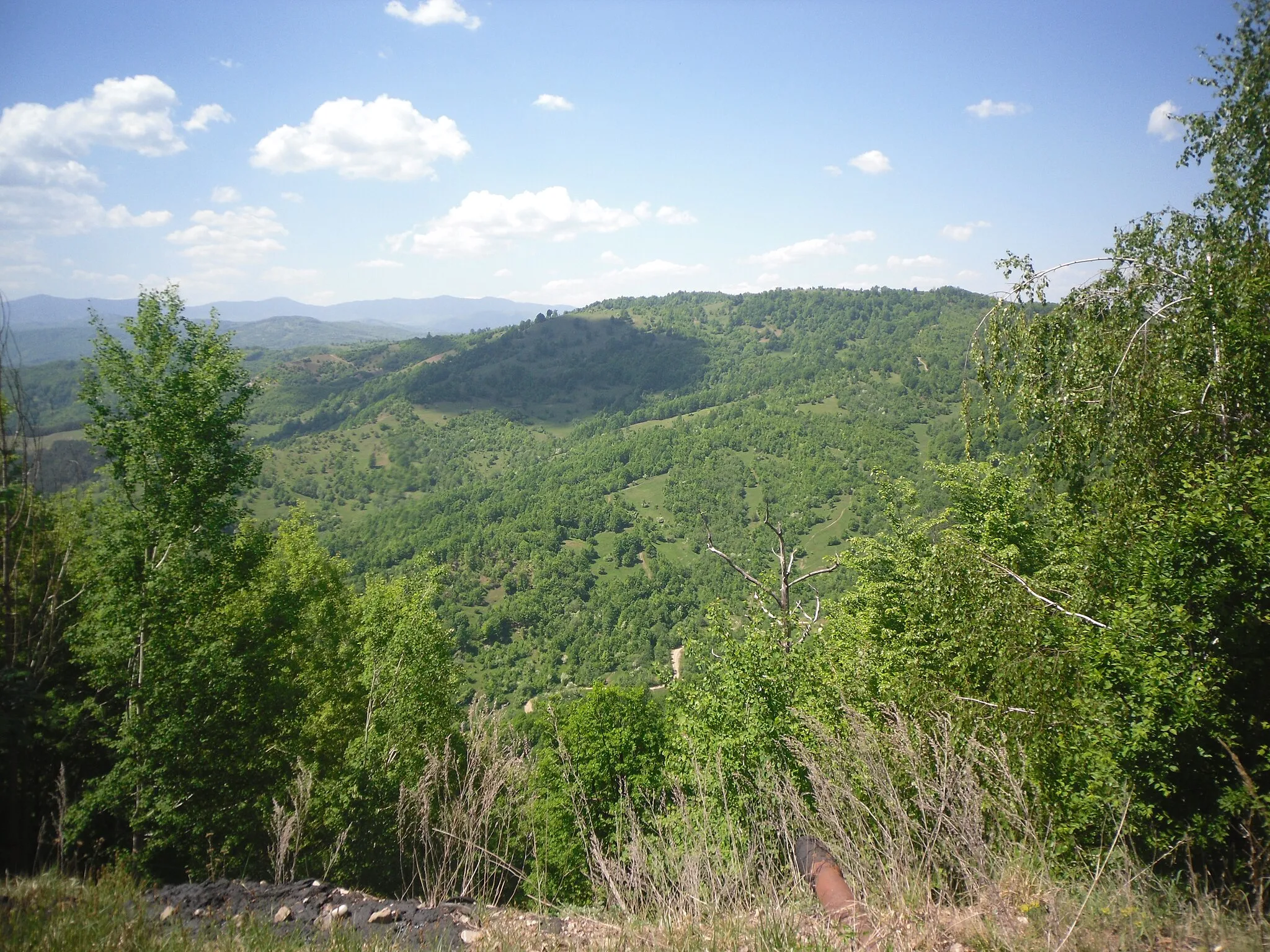 Photo showing: Dealul Cireșoaia văzut de pe dealul Măgura.