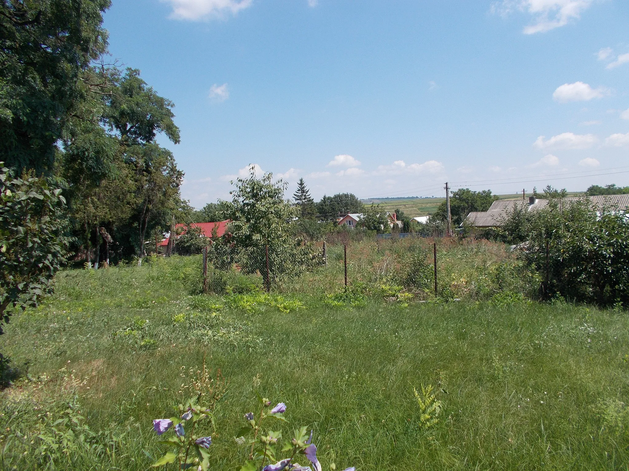 Photo showing: Cristești, Botoșani