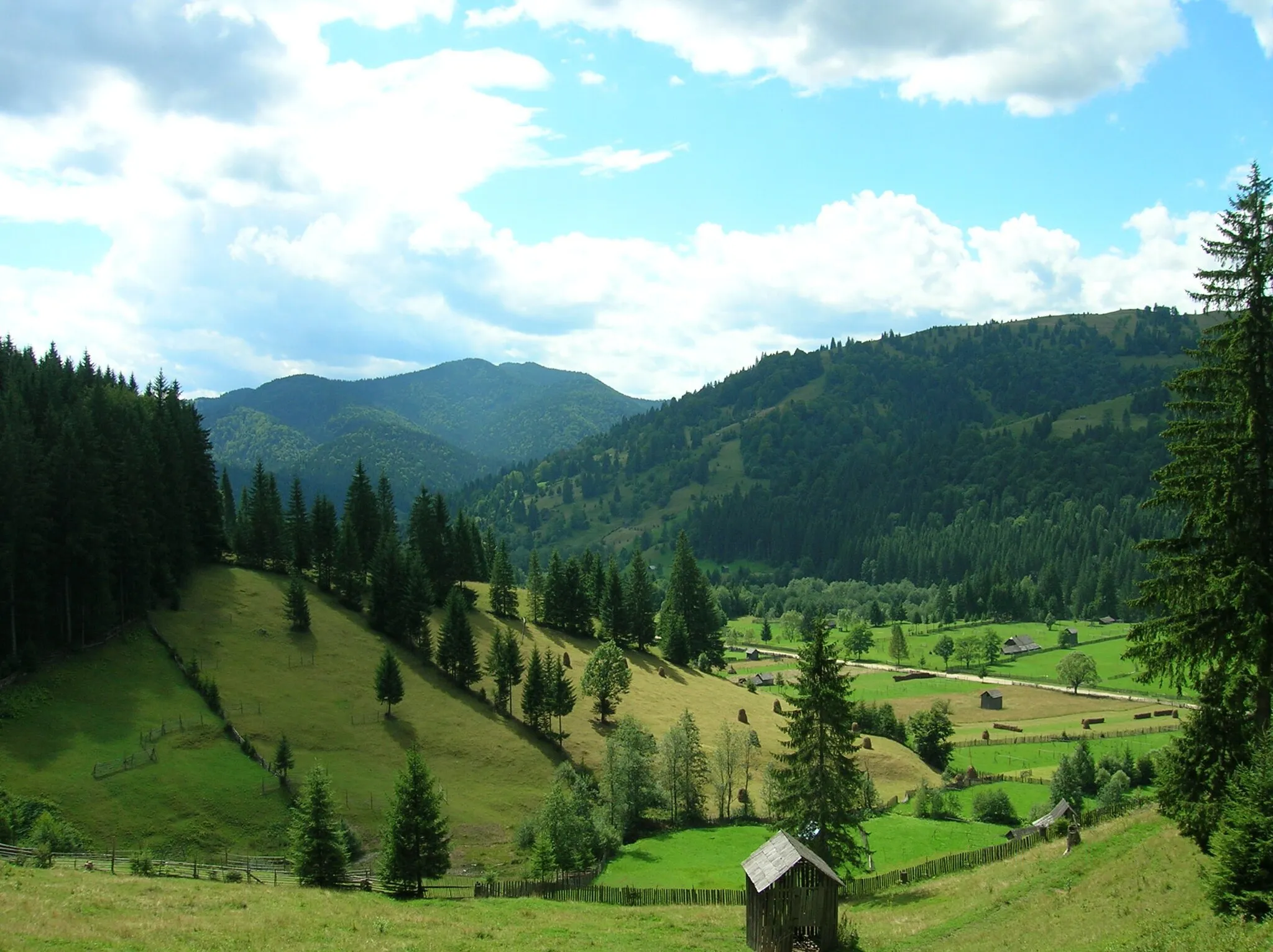 Photo showing: Privelişte spre Valea Sabasei de pe primele serpentine ale "Drumului Talienilor" Borca - Mălini