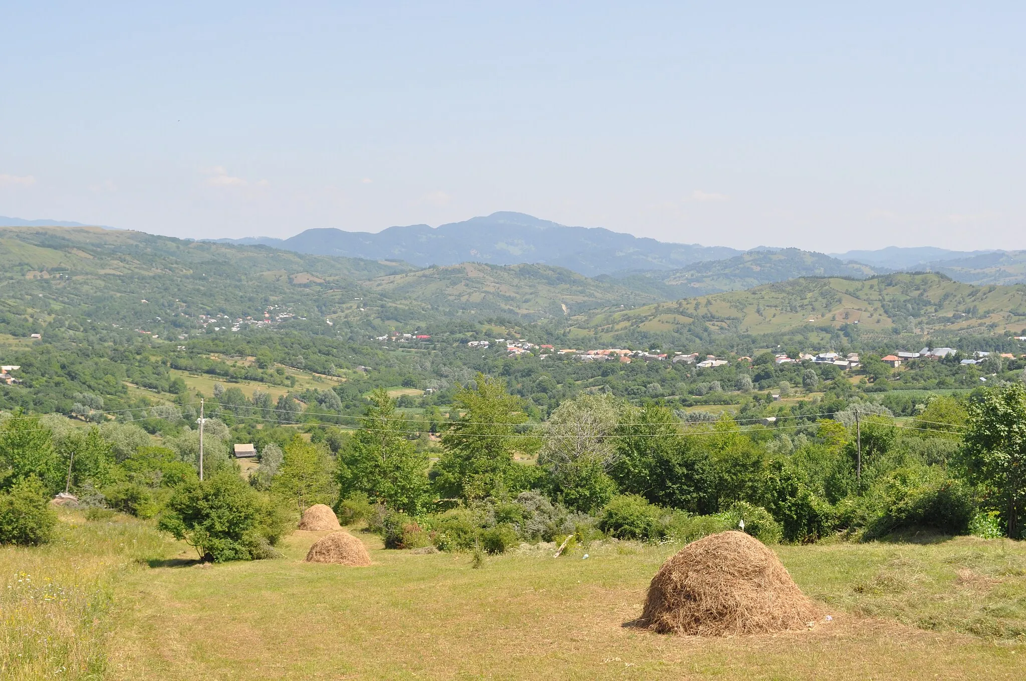 Photo showing: Spinești, Vrancea
