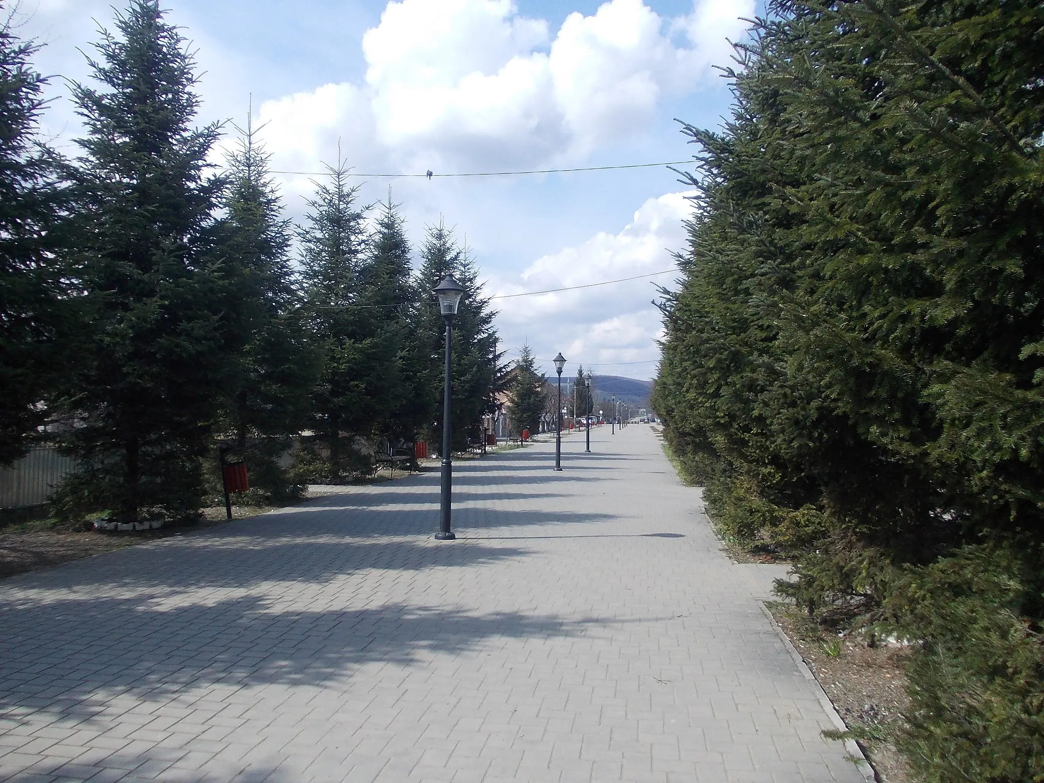 Photo showing: stradă pietonală în Dolhasca