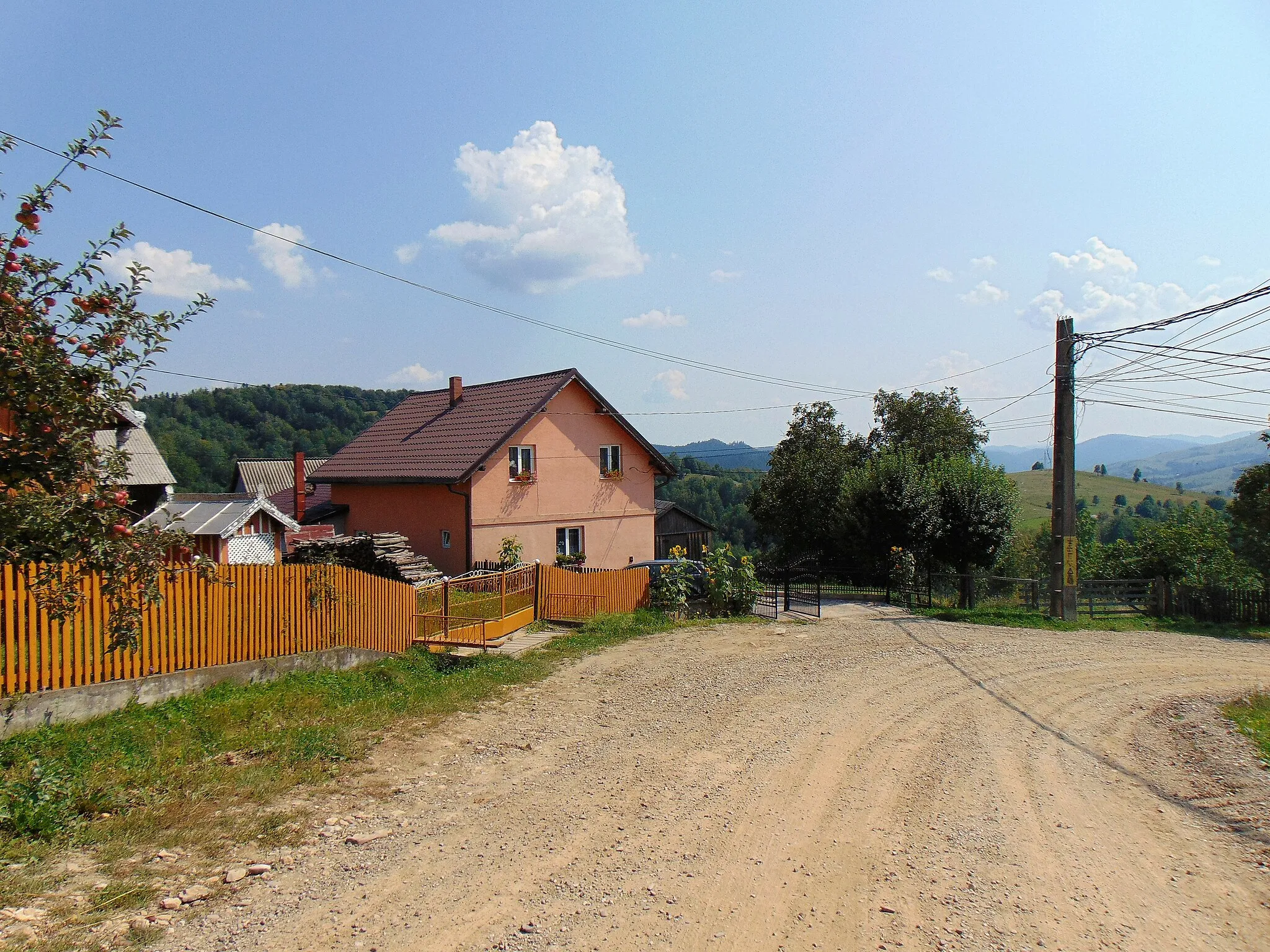 Photo showing: Plesza/Pleșa, a Polish village in the Romanian Bukovina (Suceava County).