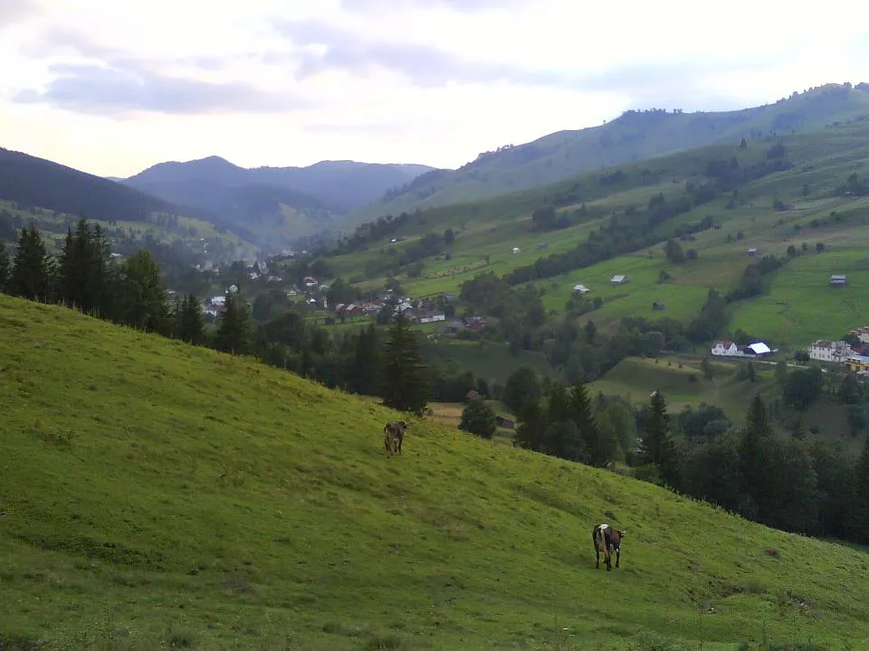 Photo showing: Gemenea (vedere panoramică est-vest), Stulpicani.