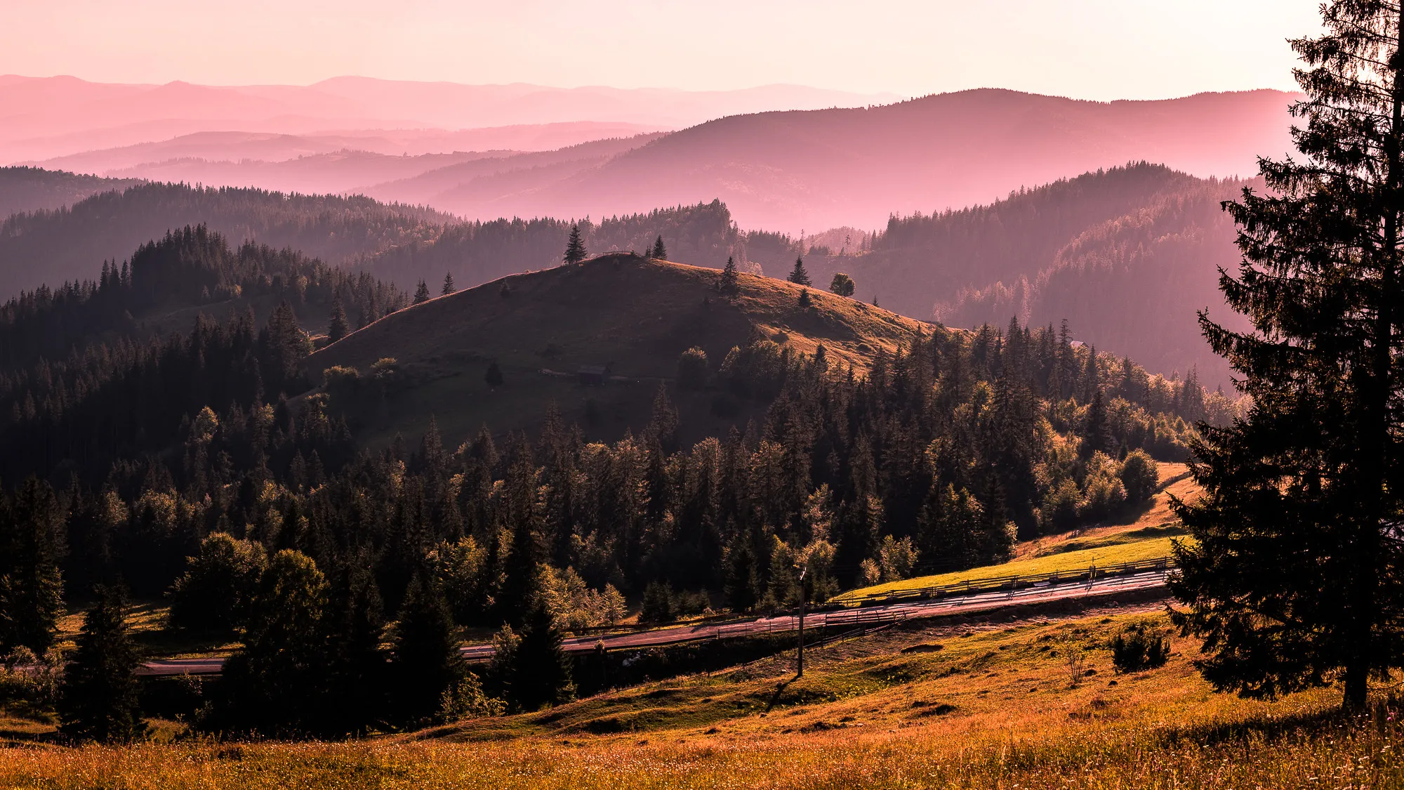 Photo showing: 500px provided description: Check out my gallery at www.pixael.com/en/pictures if you want to see more pictures.
You can follow me on
www.facebook.com/giuseppemilophoto
twitter.com/pixael_com

instagram.com/pixael/ [#trees ,#landscape ,#sunset ,#nature ,#travel ,#light ,#outdoor ,#grass ,#mountain ,#hills ,#romania ,#bukovina]