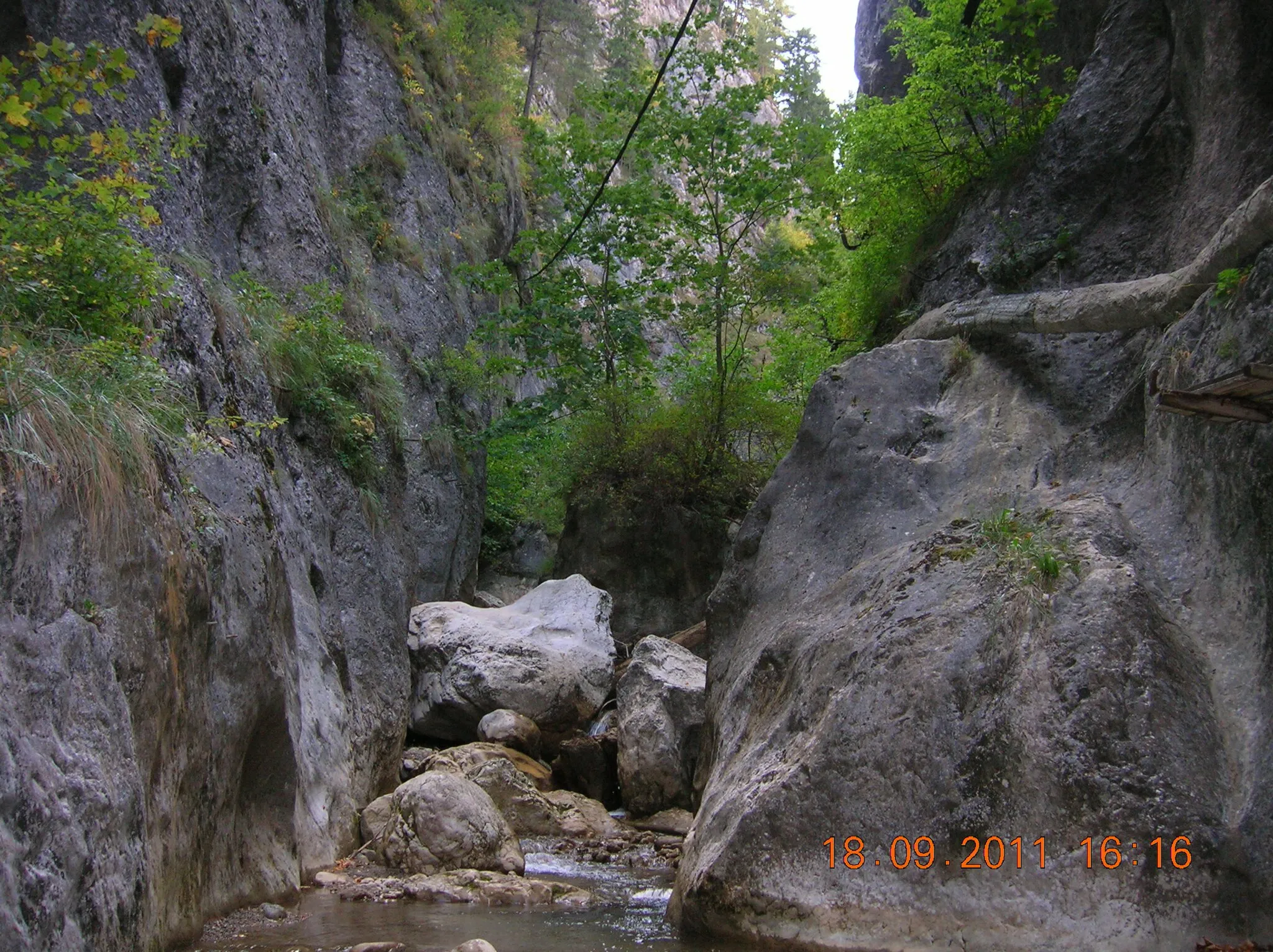 Photo showing: Cheile Şugăului, Rezervaţia Cheile Şugăului-Munticelu, Parcul Naţional Cheile Bicazului-Hăşmaş, Judeţul Neamţ, România