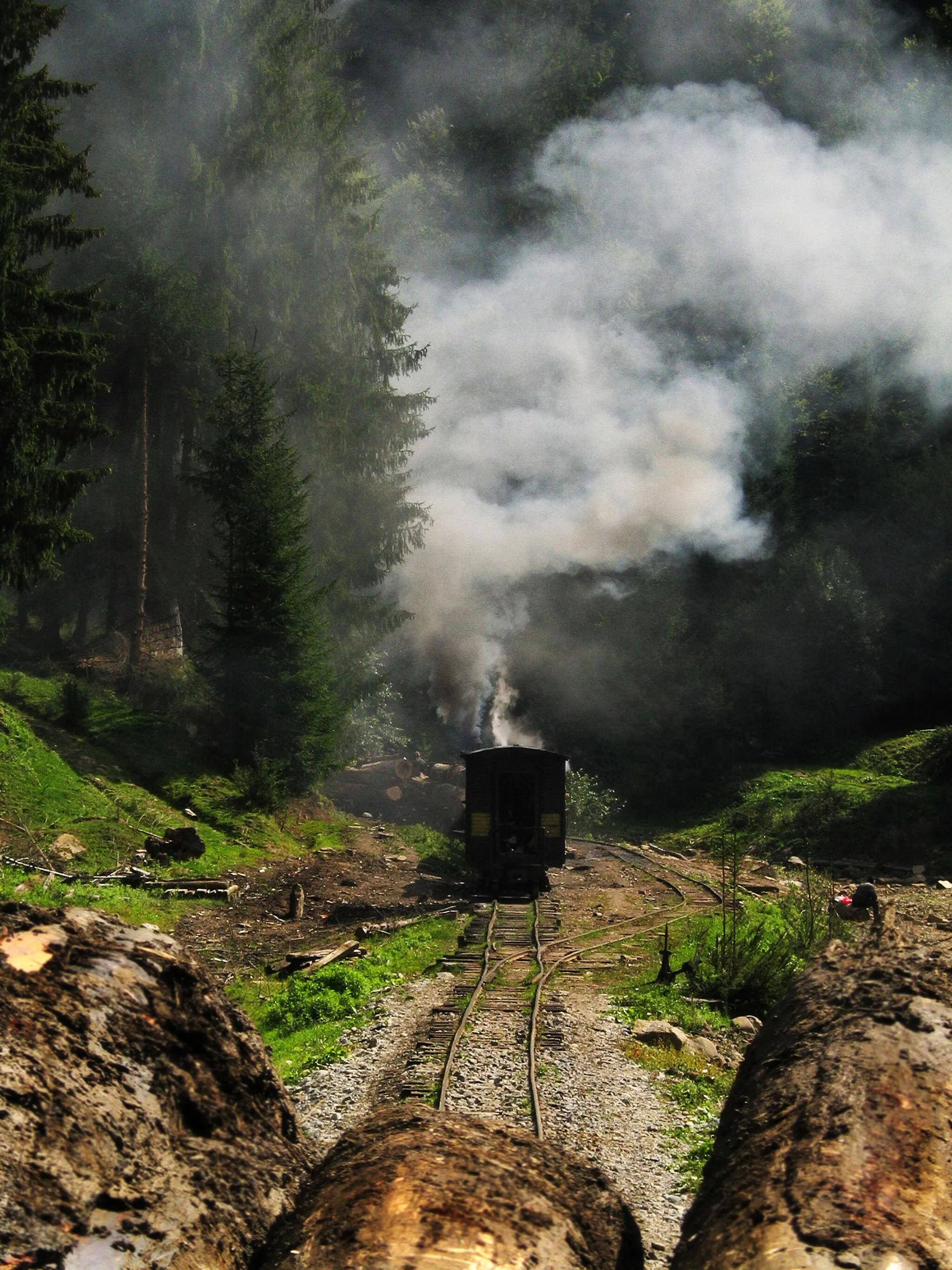 Photo showing: Calea ferata ingusta de pe Valea Vaseului, Maramures (Viseul de sus-Faina)