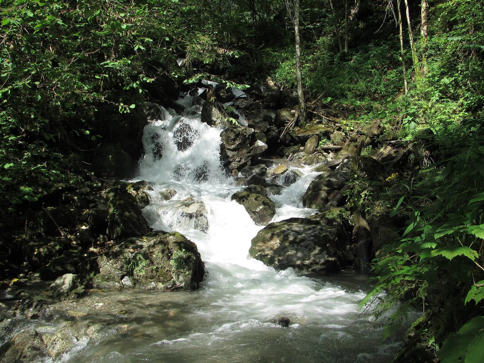 Photo showing: Водоспад Білий нижній біля с. Ділове на потоці Білий