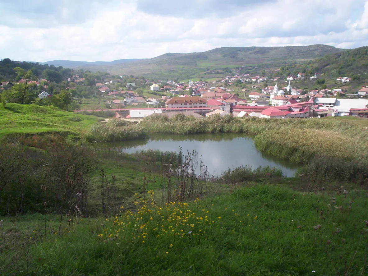 Photo showing: Ocna Dejului: vedere  de pe deal. În imagine lacul cu apă sărată şi localitatea Ocna Dejului în vara anului 2007.