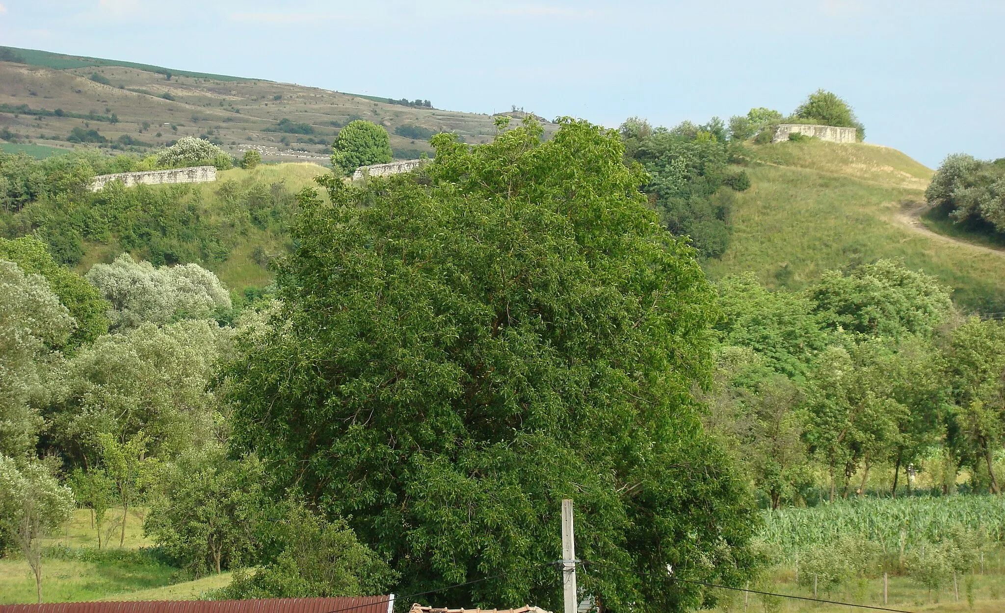 Photo showing: Ansamblul fortificat Dăbâca, sat Dăbâca; comuna Dăbâca, județul Cluj